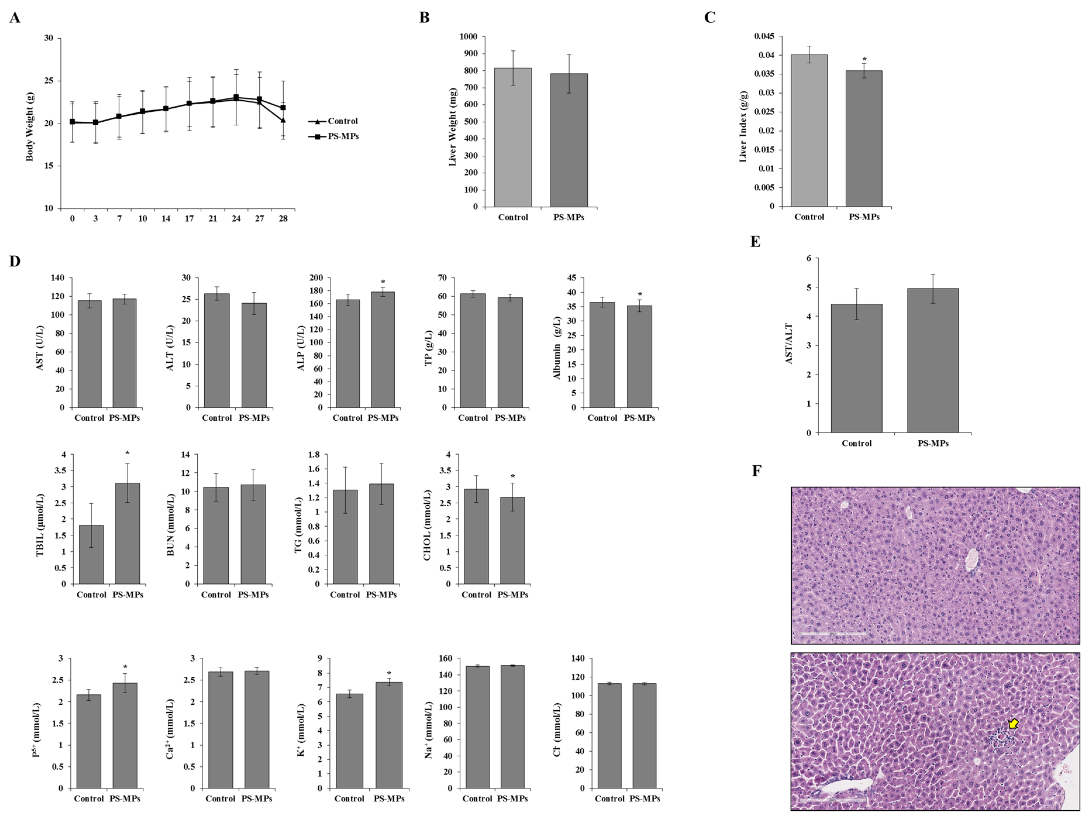 Toxics 12 00932 g001