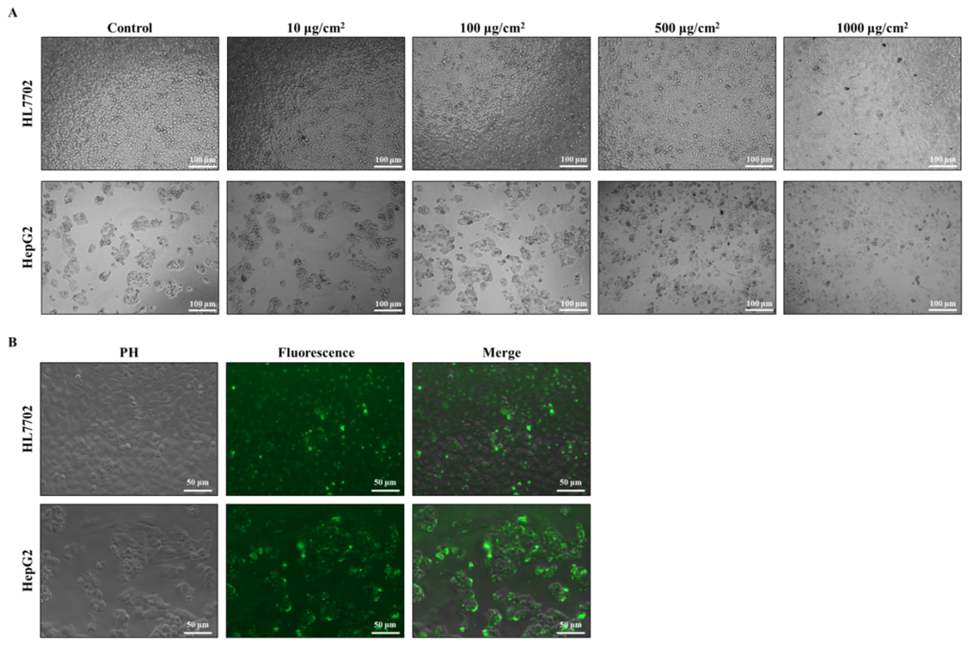 Toxics 12 00932 g002