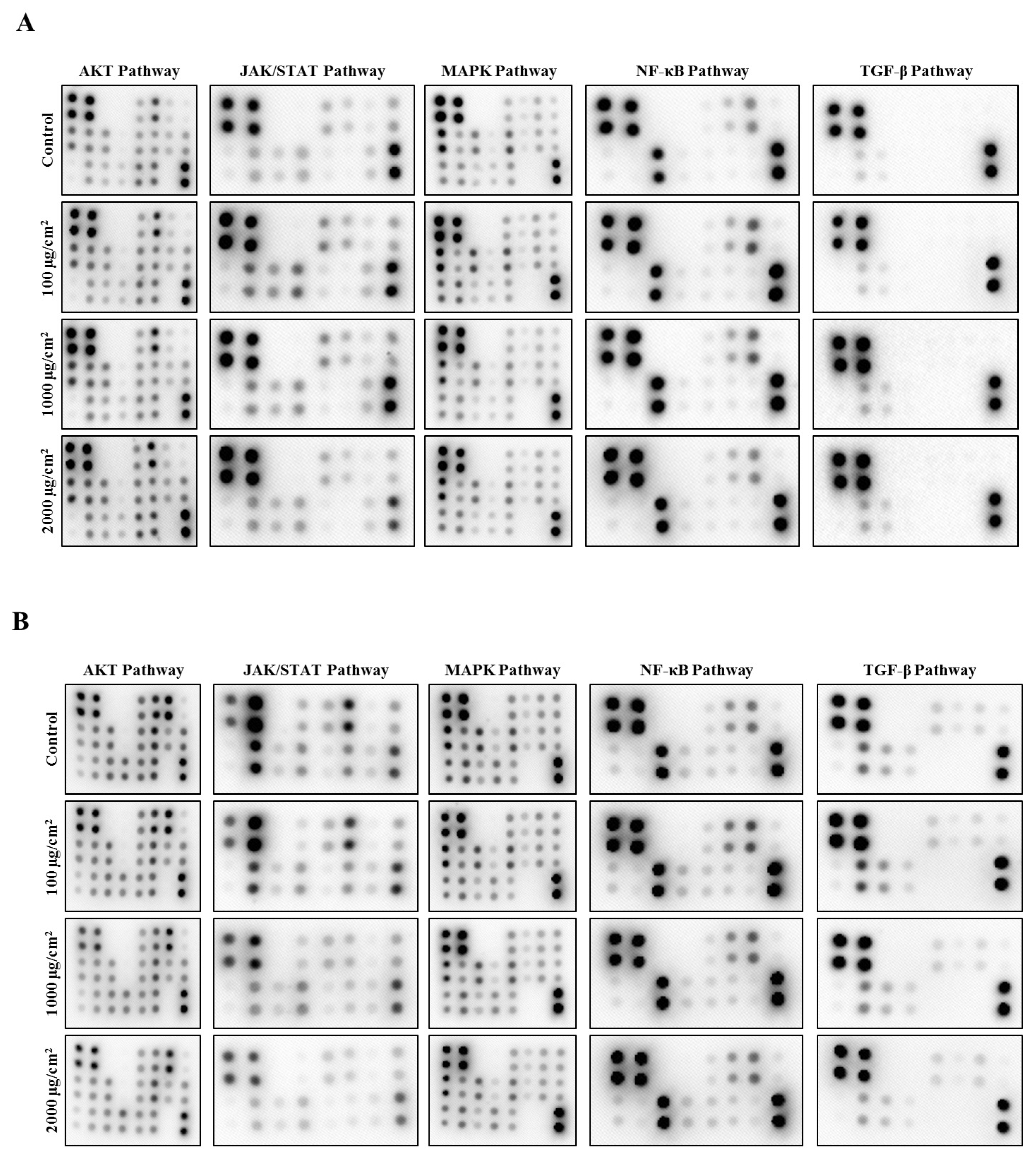 Toxics 12 00932 g006a