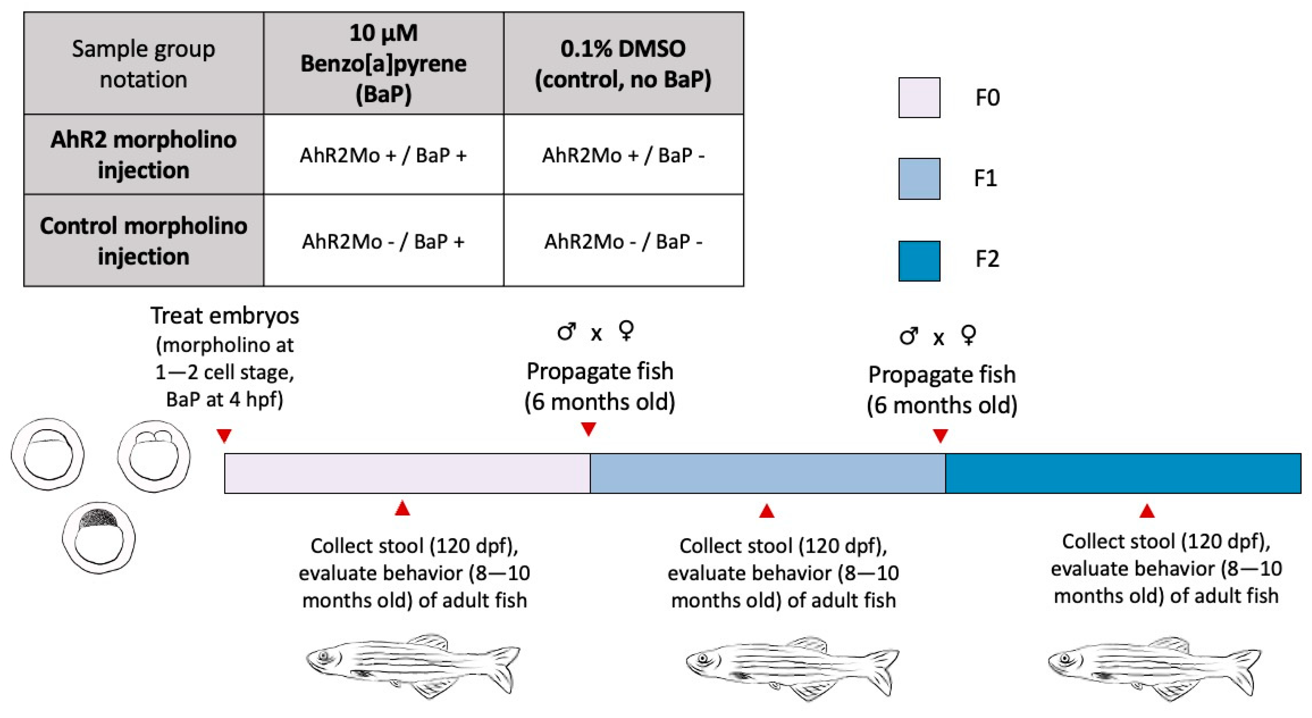 Toxics 13 00010 g001