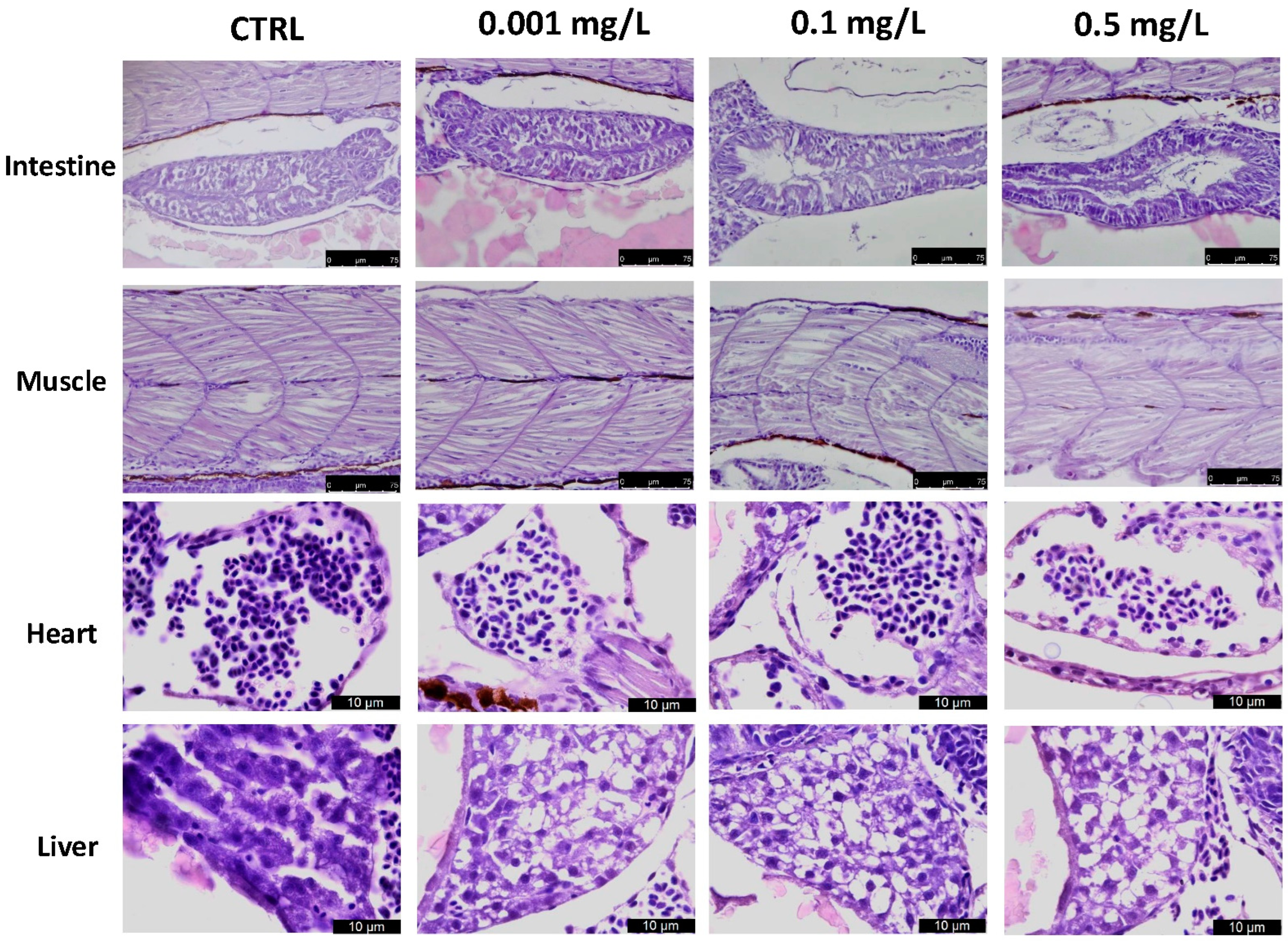 Toxics 13 00028 g003