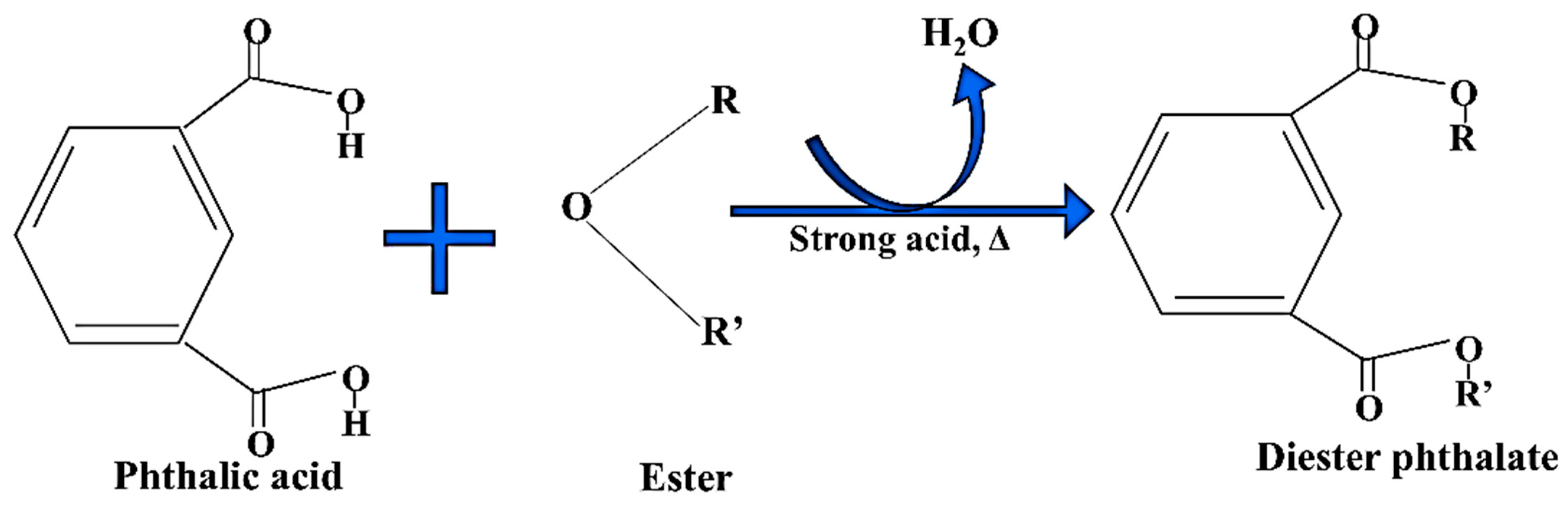 Toxics 13 00032 g001