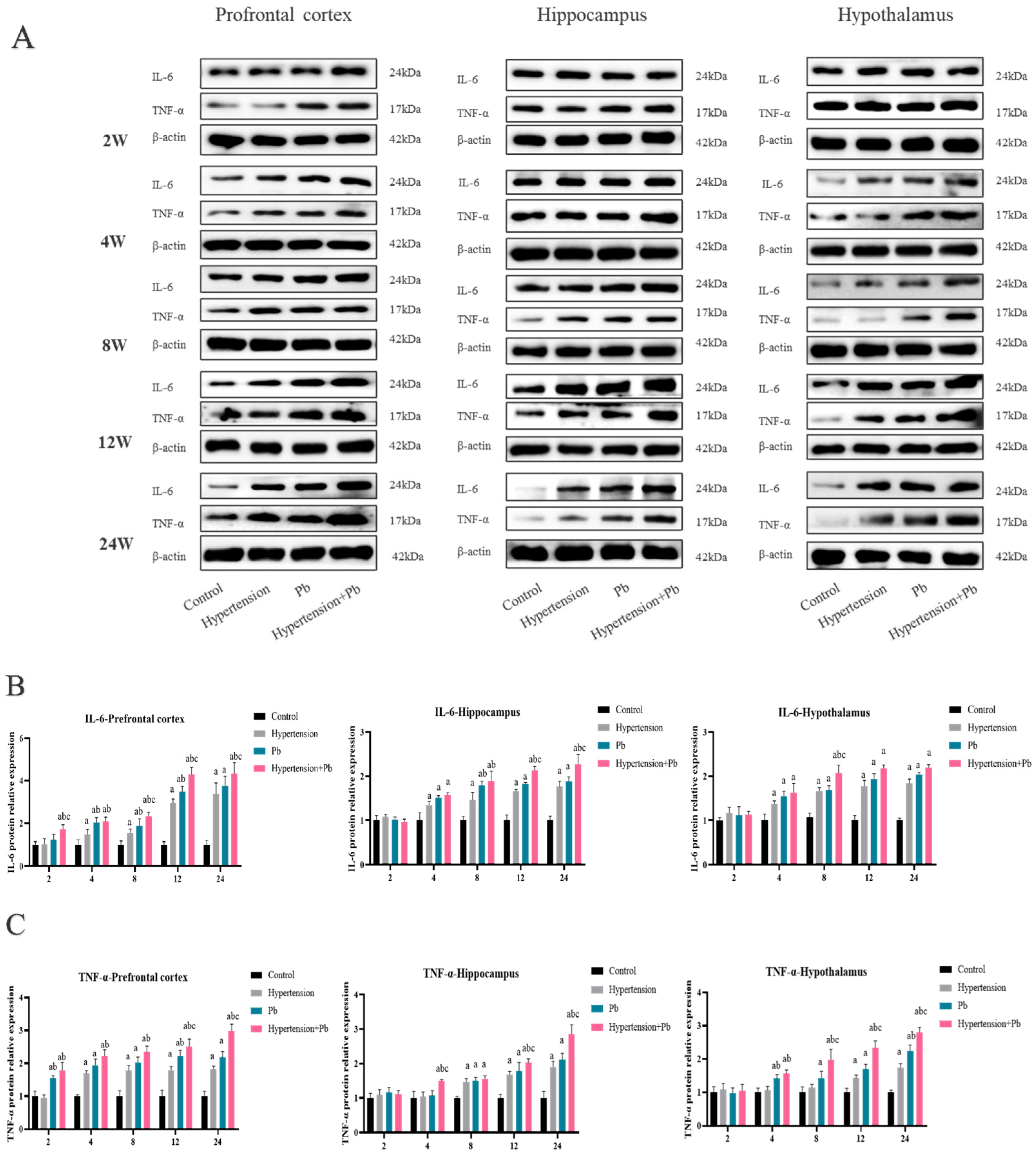 Toxics 13 00037 g001a