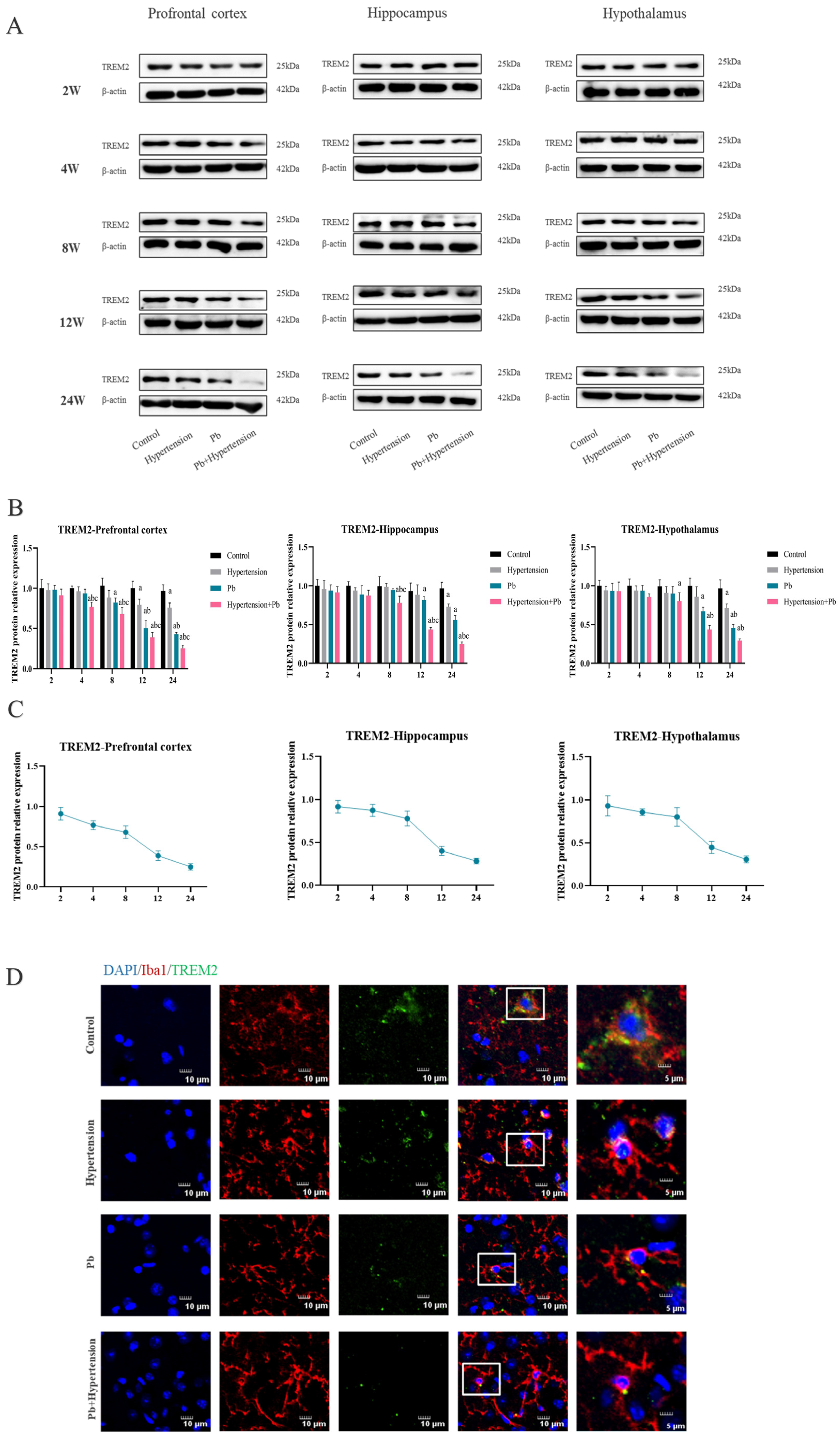 Toxics 13 00037 g002a