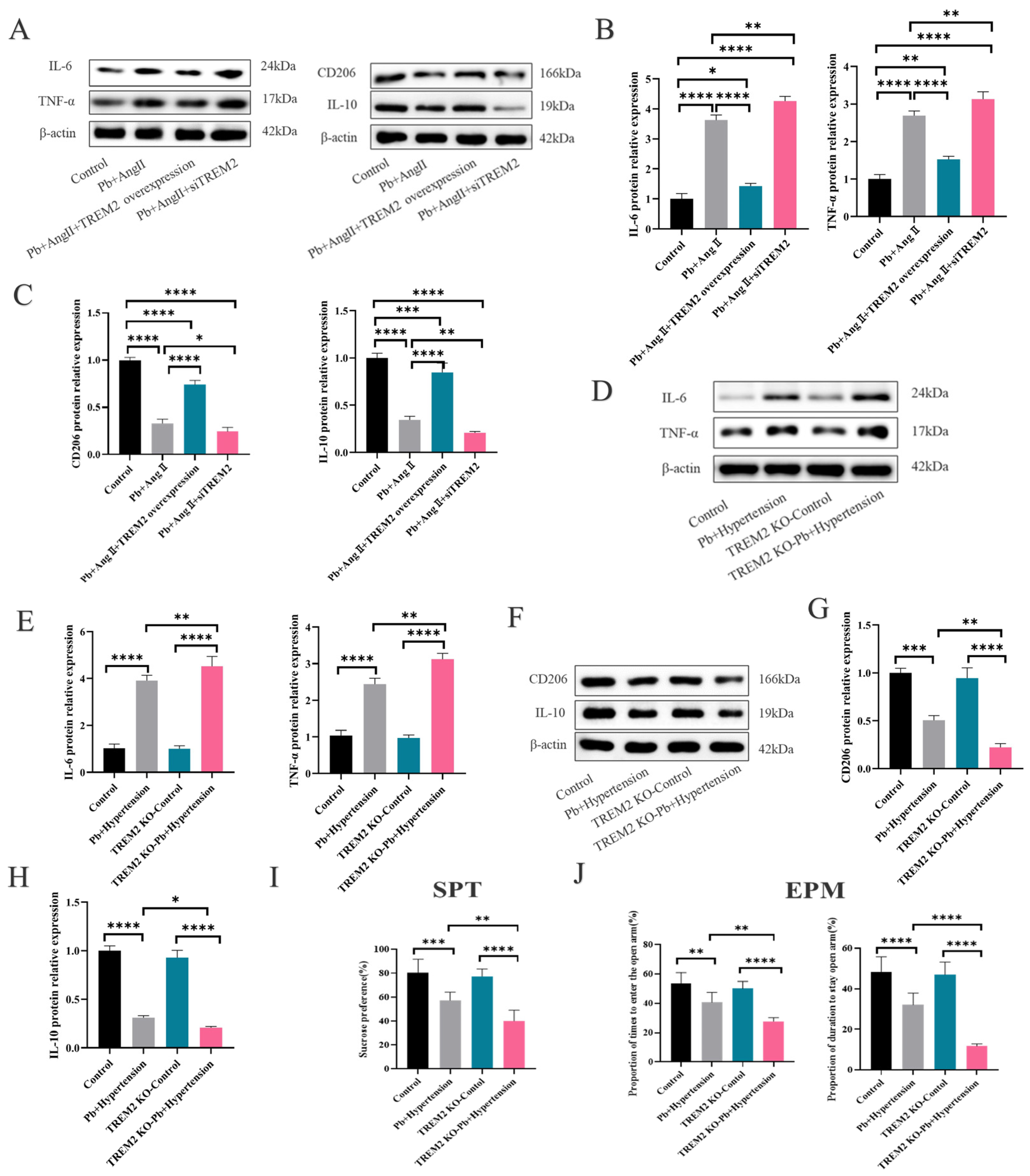 Toxics 13 00037 g003