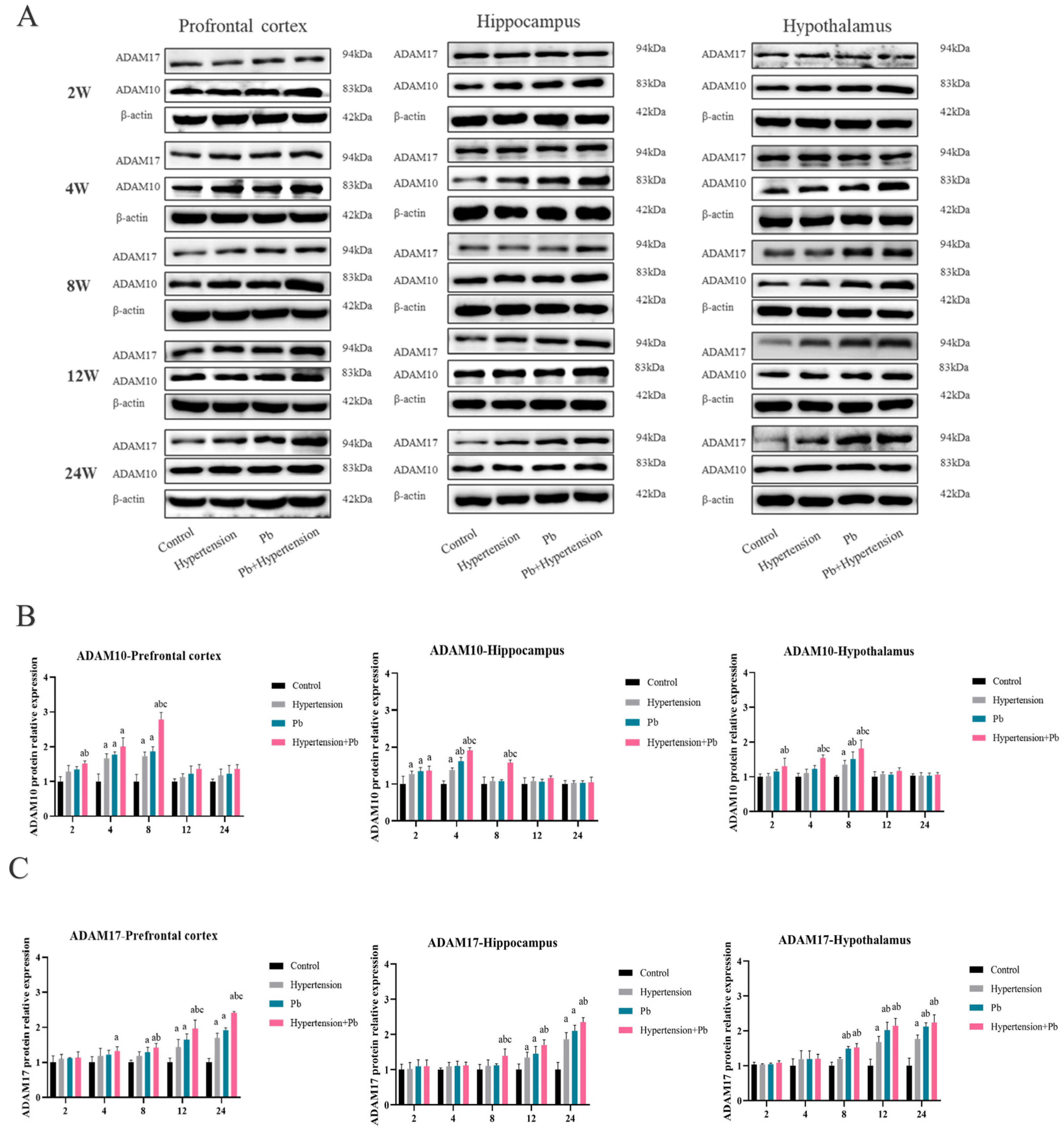 Toxics 13 00037 g004
