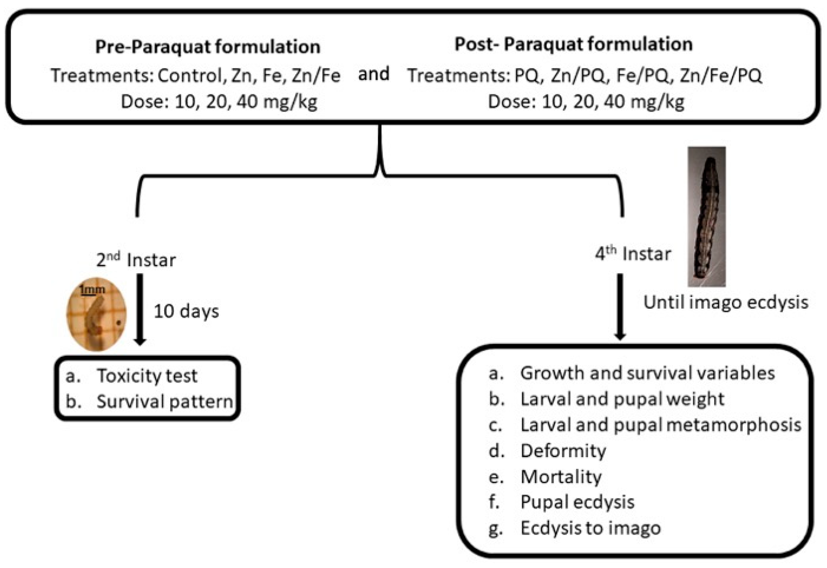 Toxics 13 00038 g001