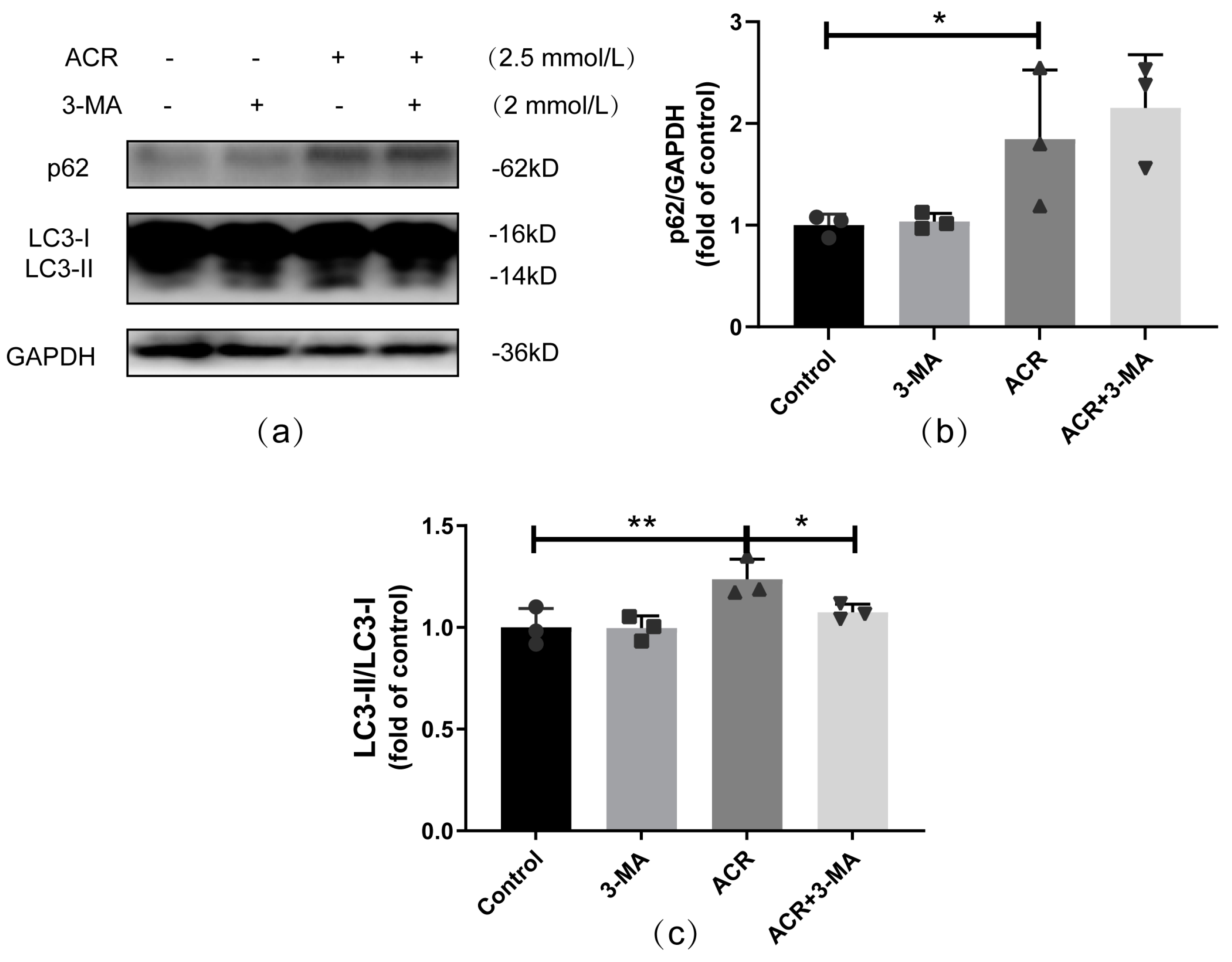 Toxics 13 00041 g004