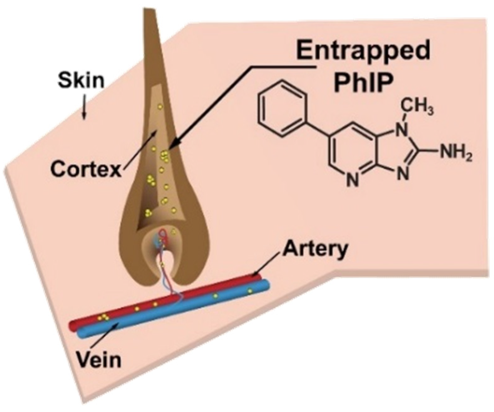 Toxics 13 00042 g001 Toxics 13 00042 g001