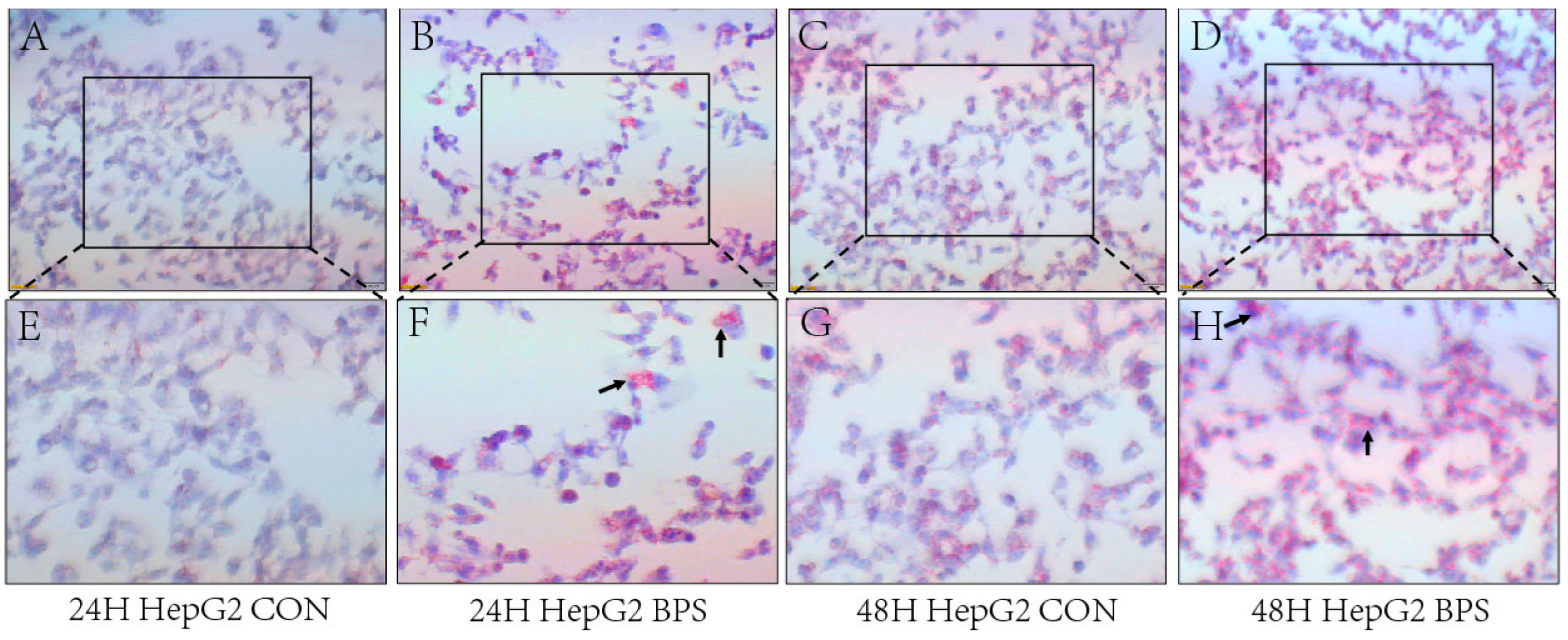 Toxics 13 00044 g003