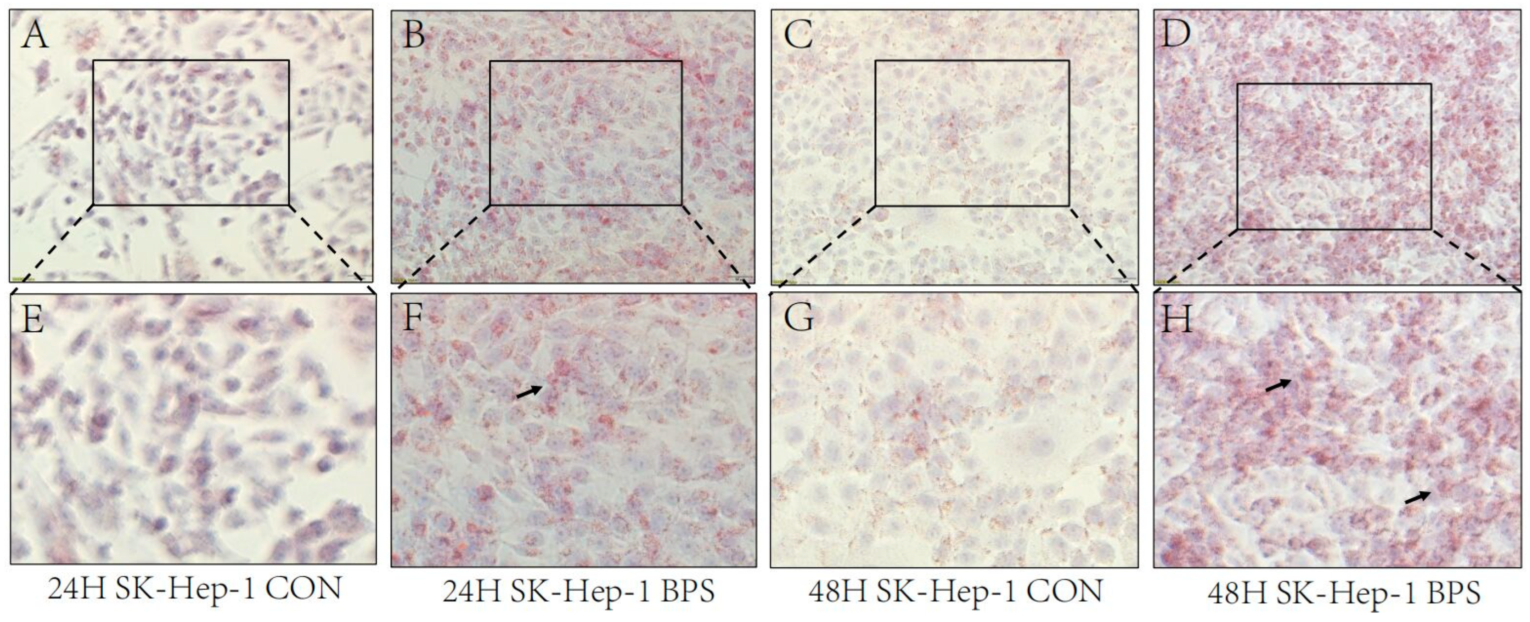 Toxics 13 00044 g004