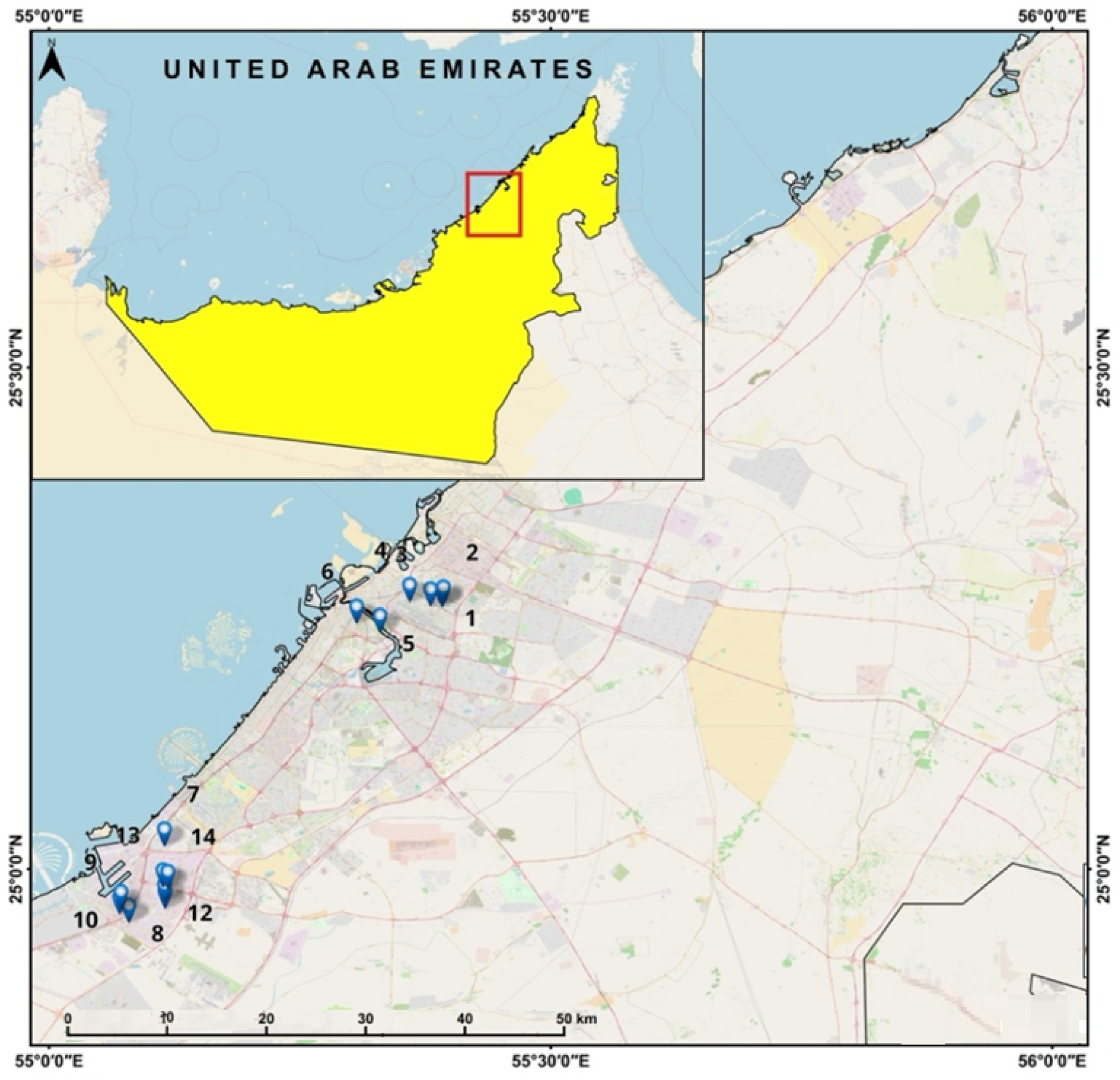 Toxics 13 00052 g001