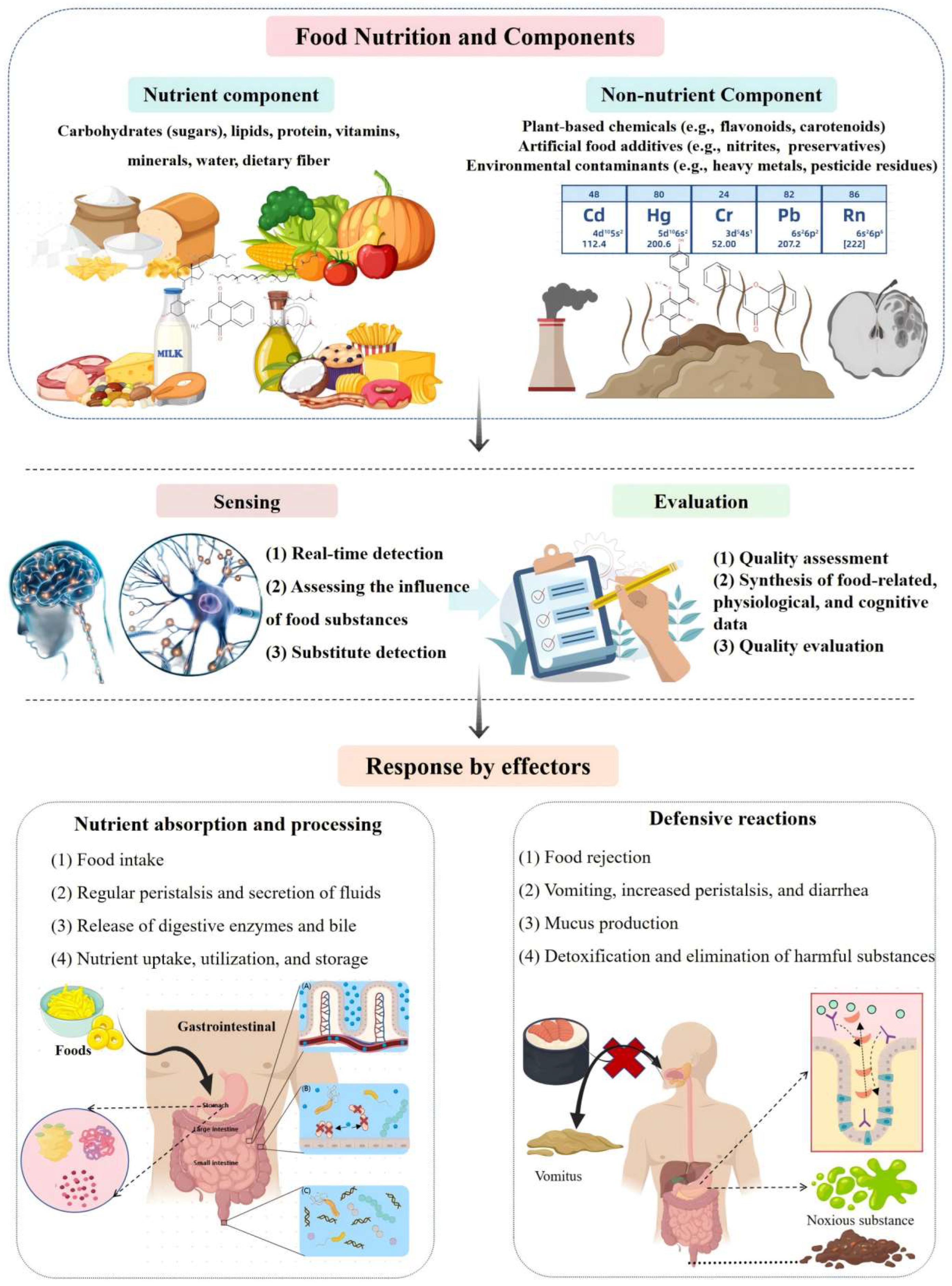 Toxics 13 00061 g001