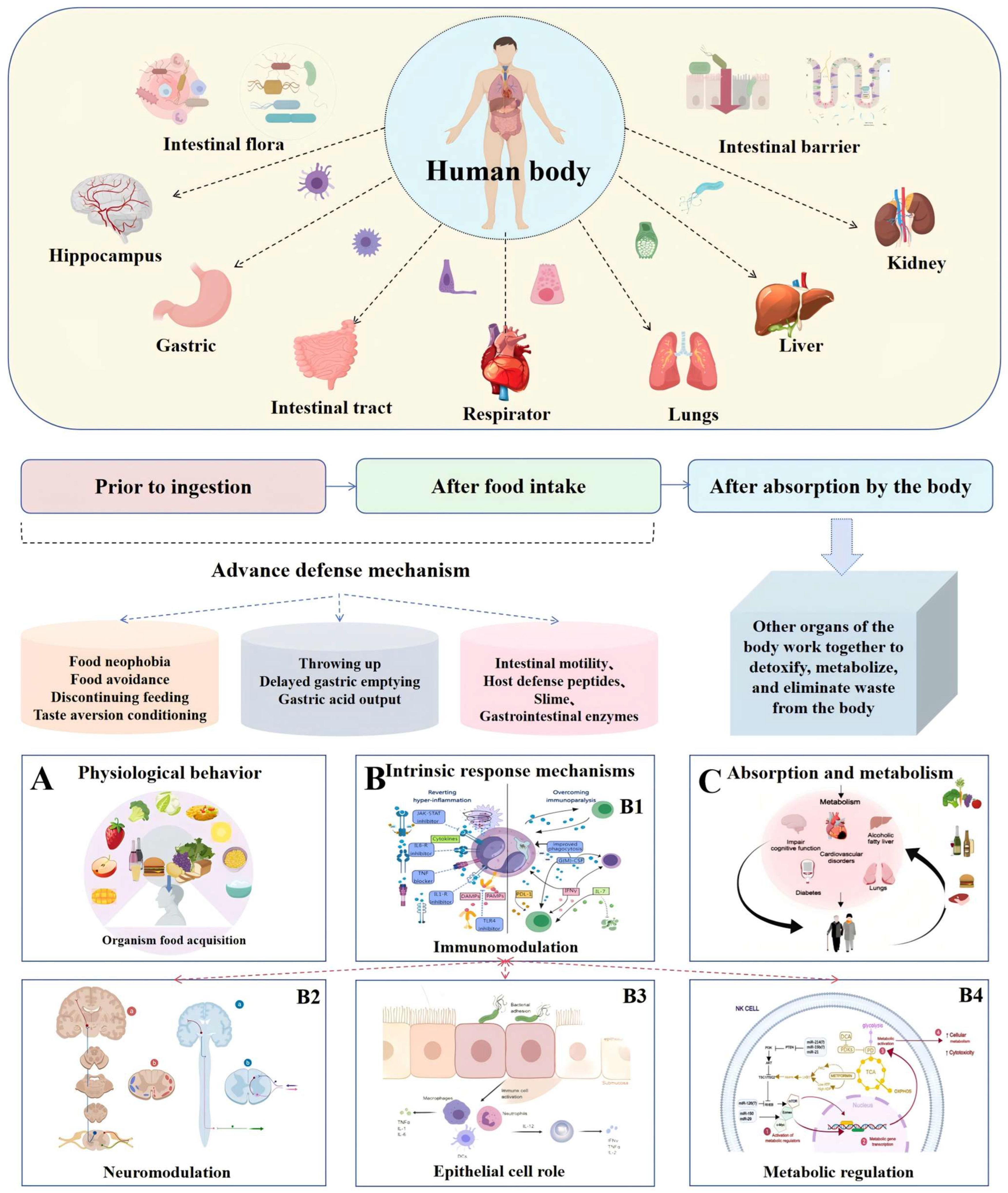 Toxics 13 00061 g002