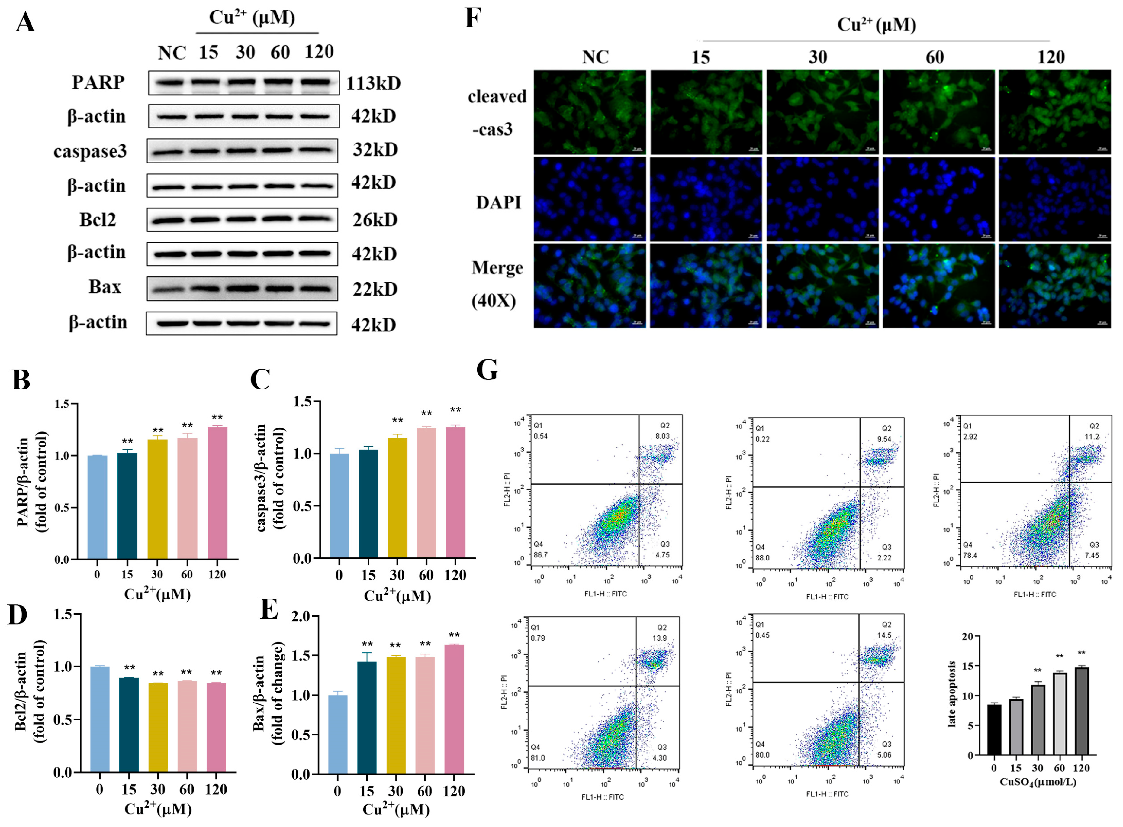 Toxics 13 00063 g002