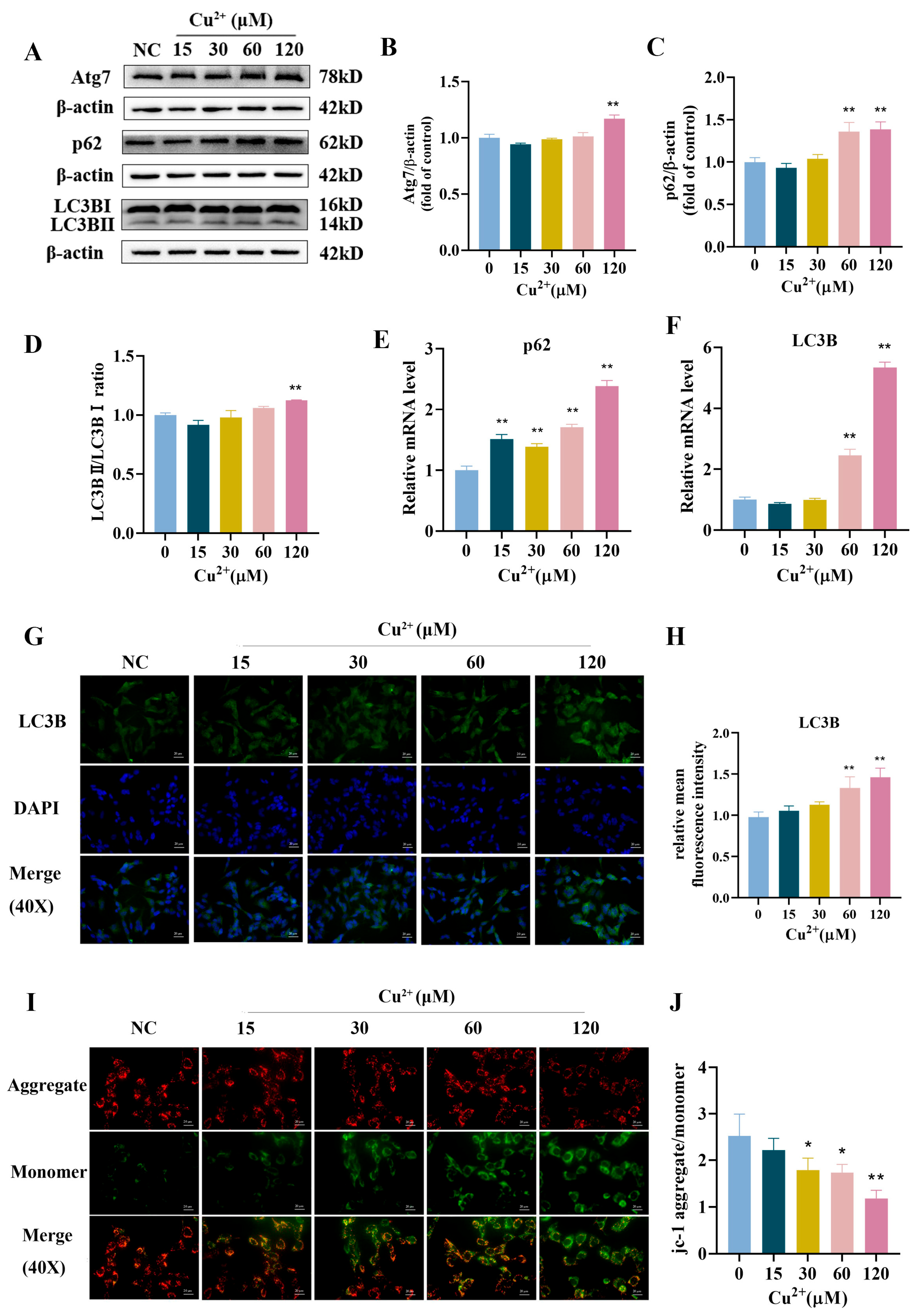 Toxics 13 00063 g003