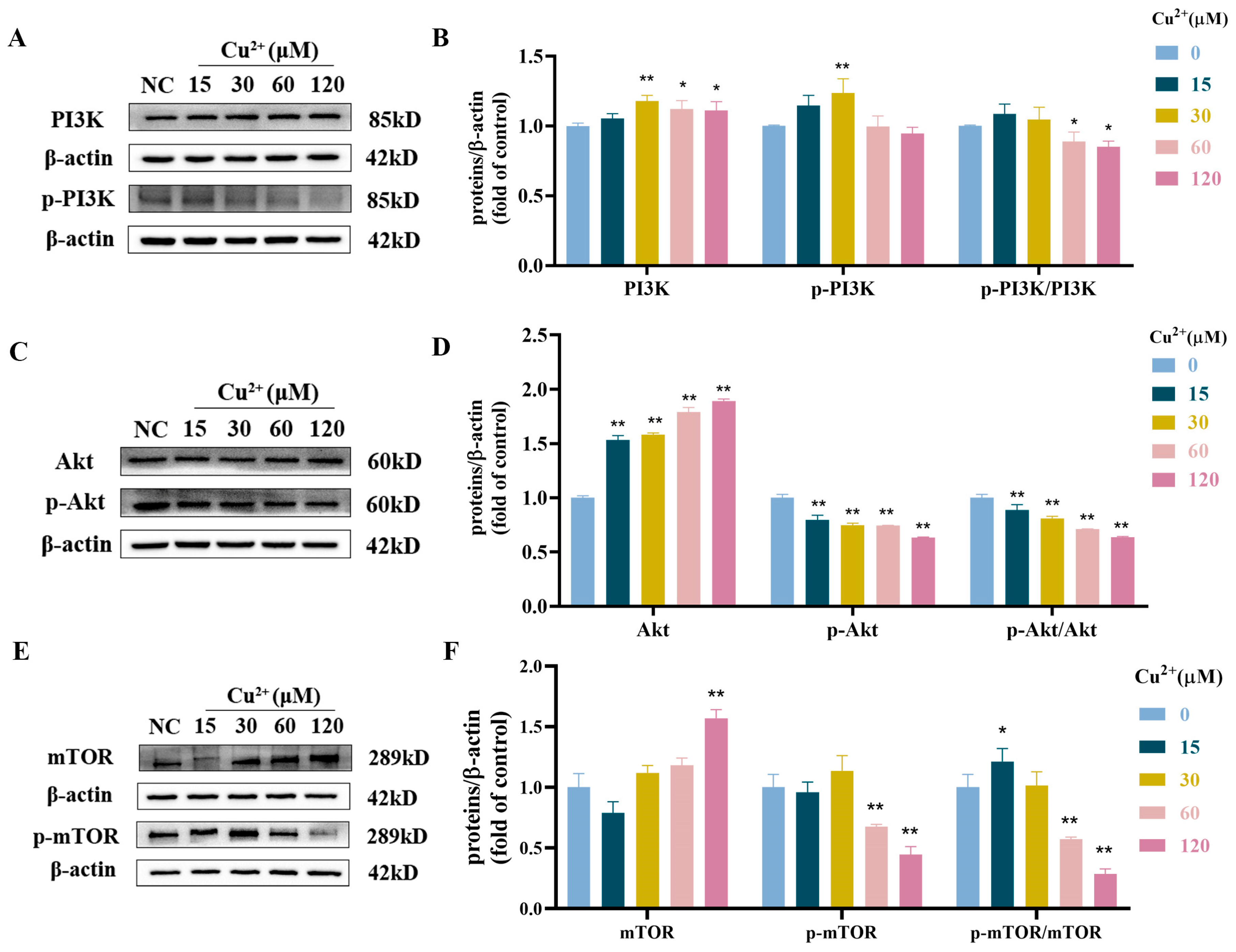 Toxics 13 00063 g005