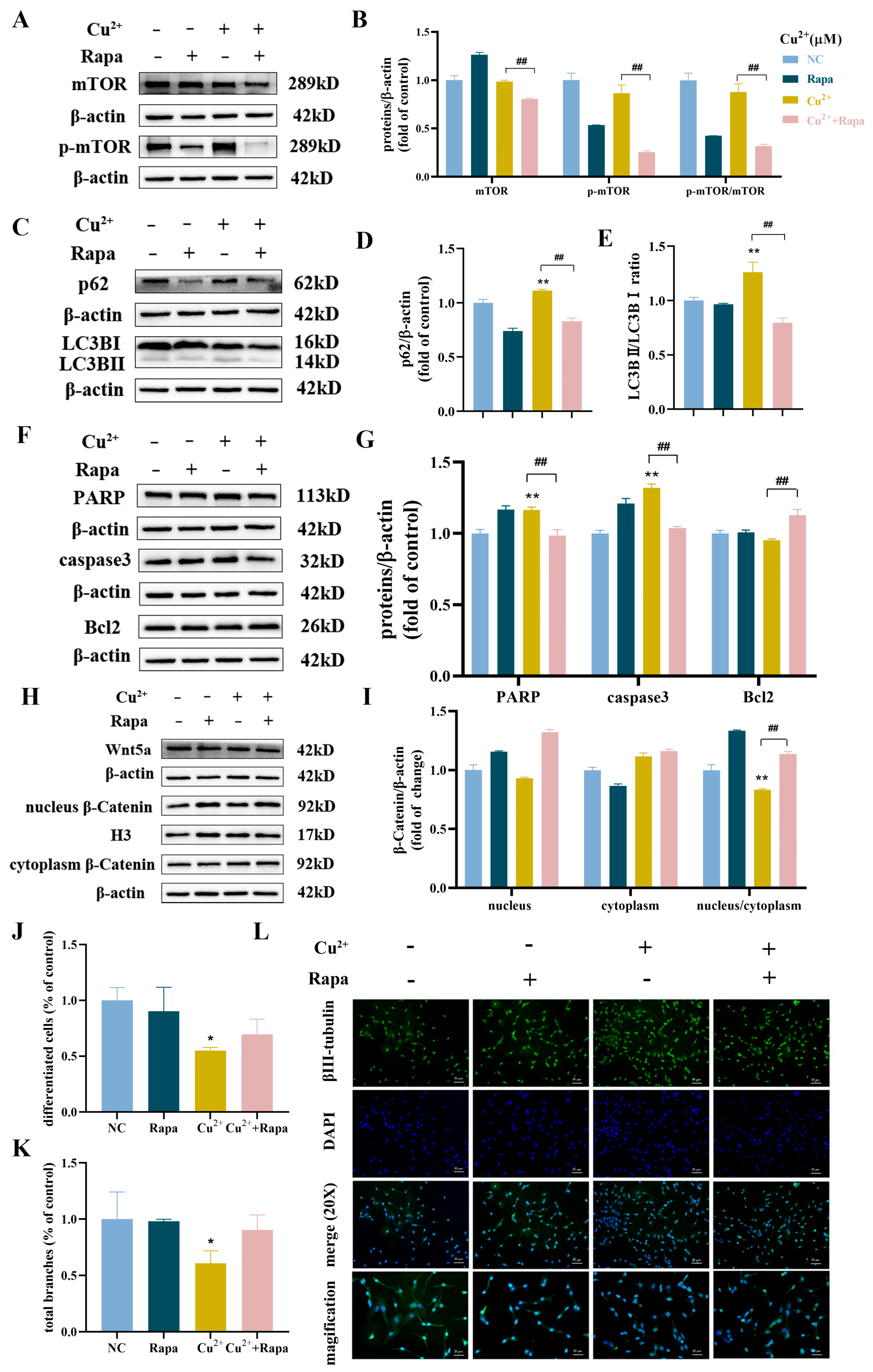 Toxics 13 00063 g006