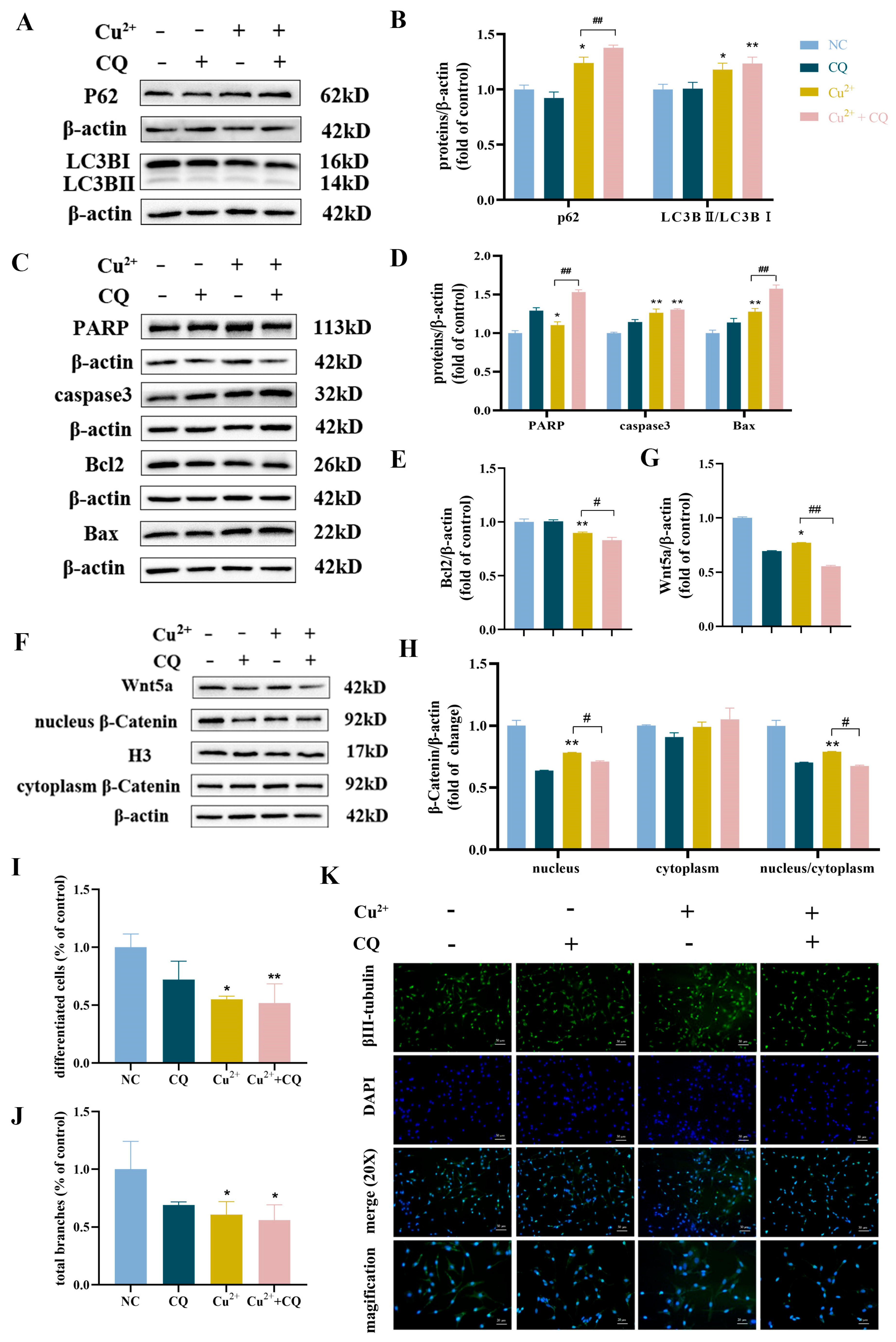 Toxics 13 00063 g007
