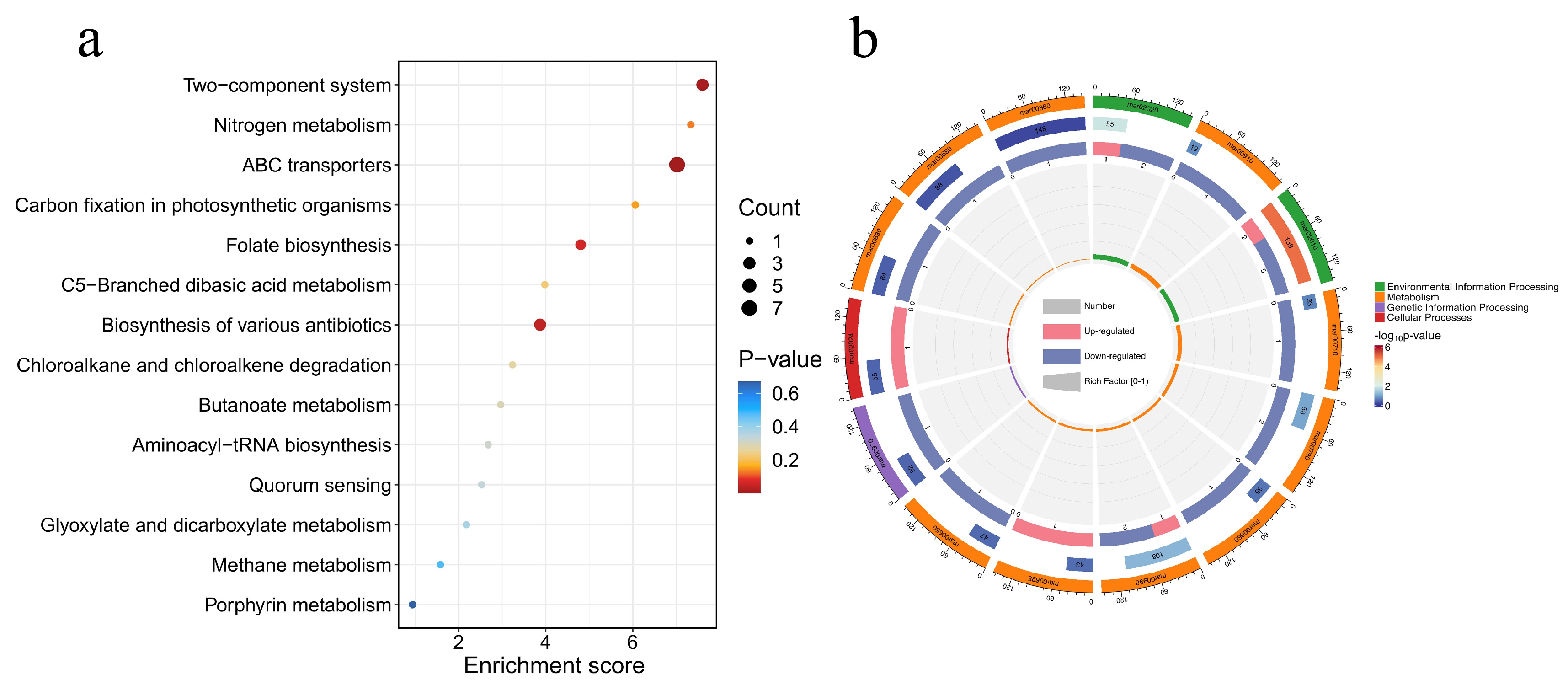 Toxics 13 00064 g007