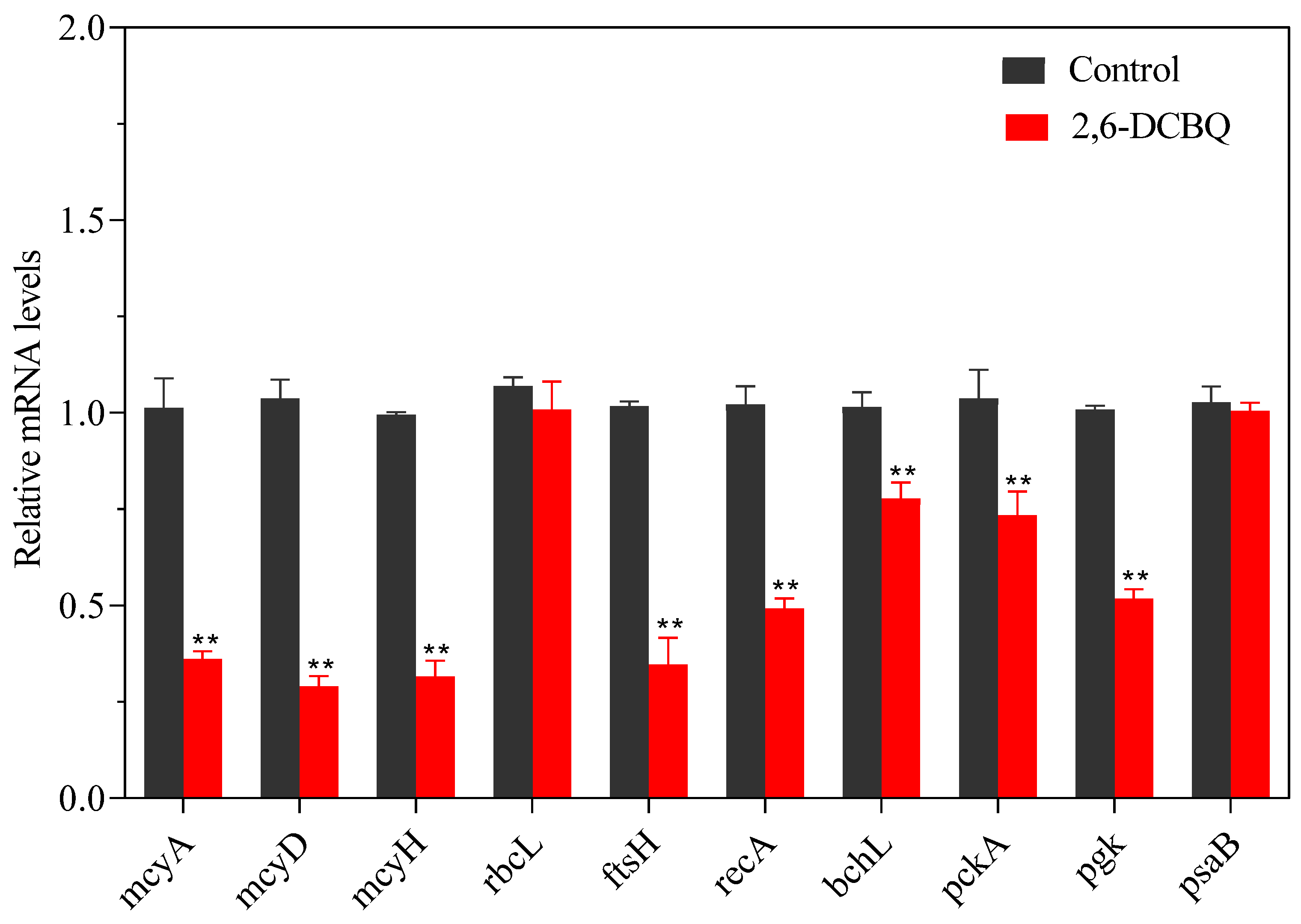 Toxics 13 00064 g008