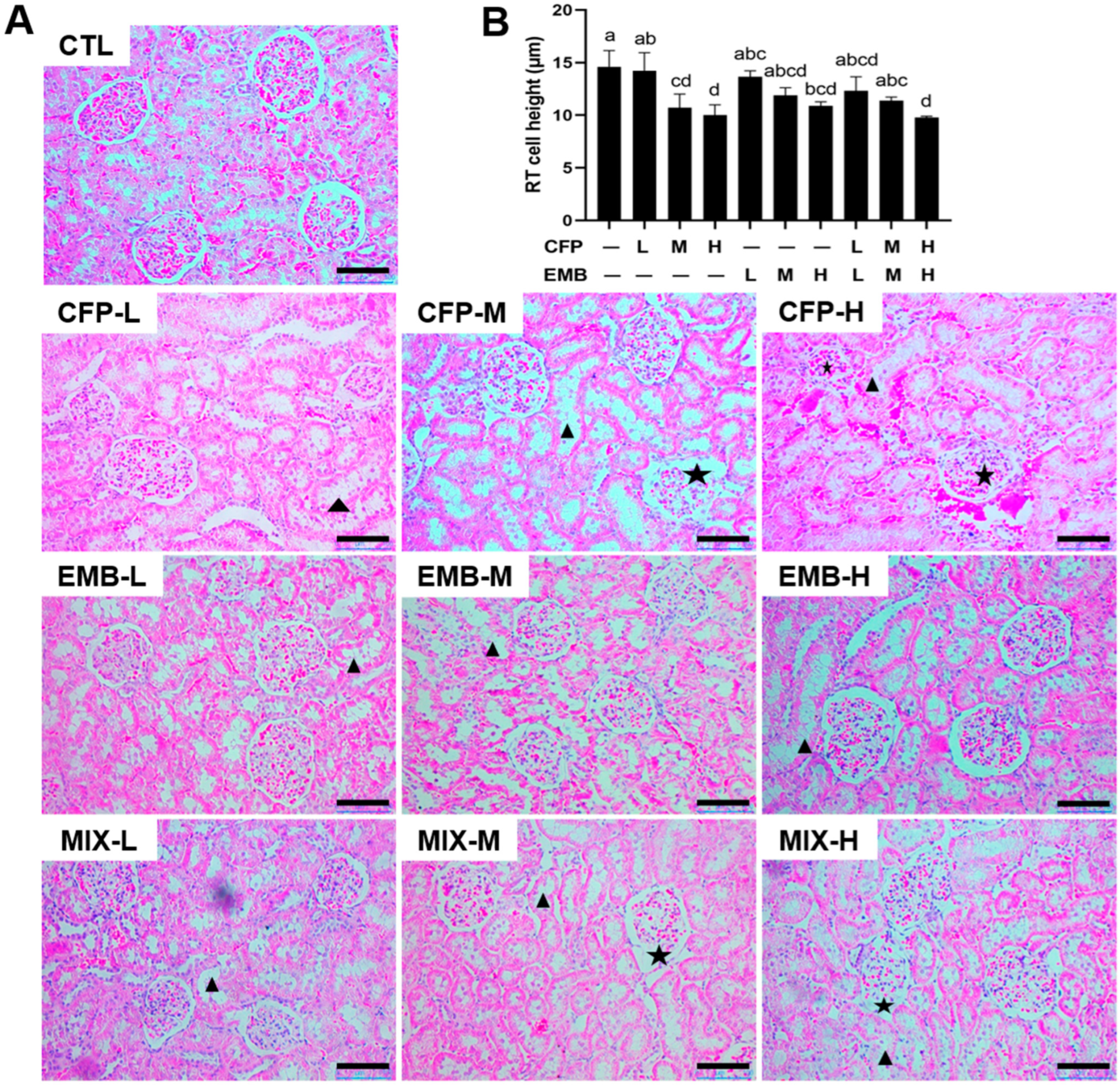 Toxics 13 00065 g002