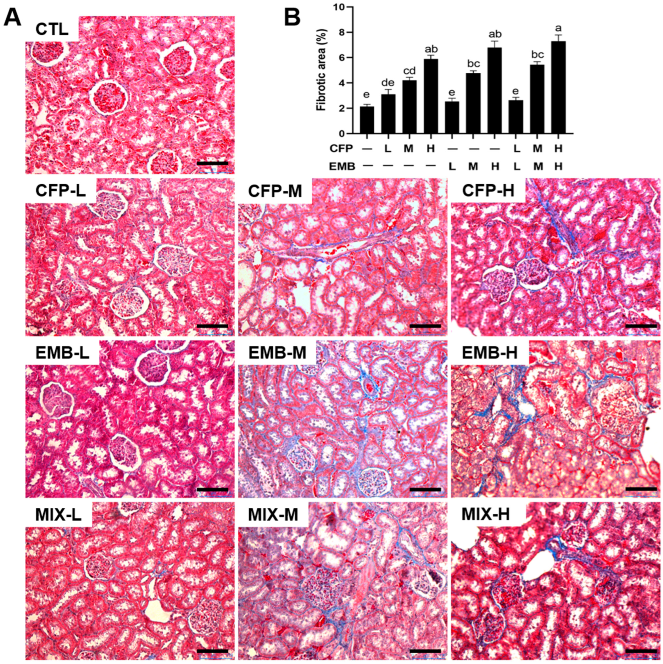 Toxics 13 00065 g003