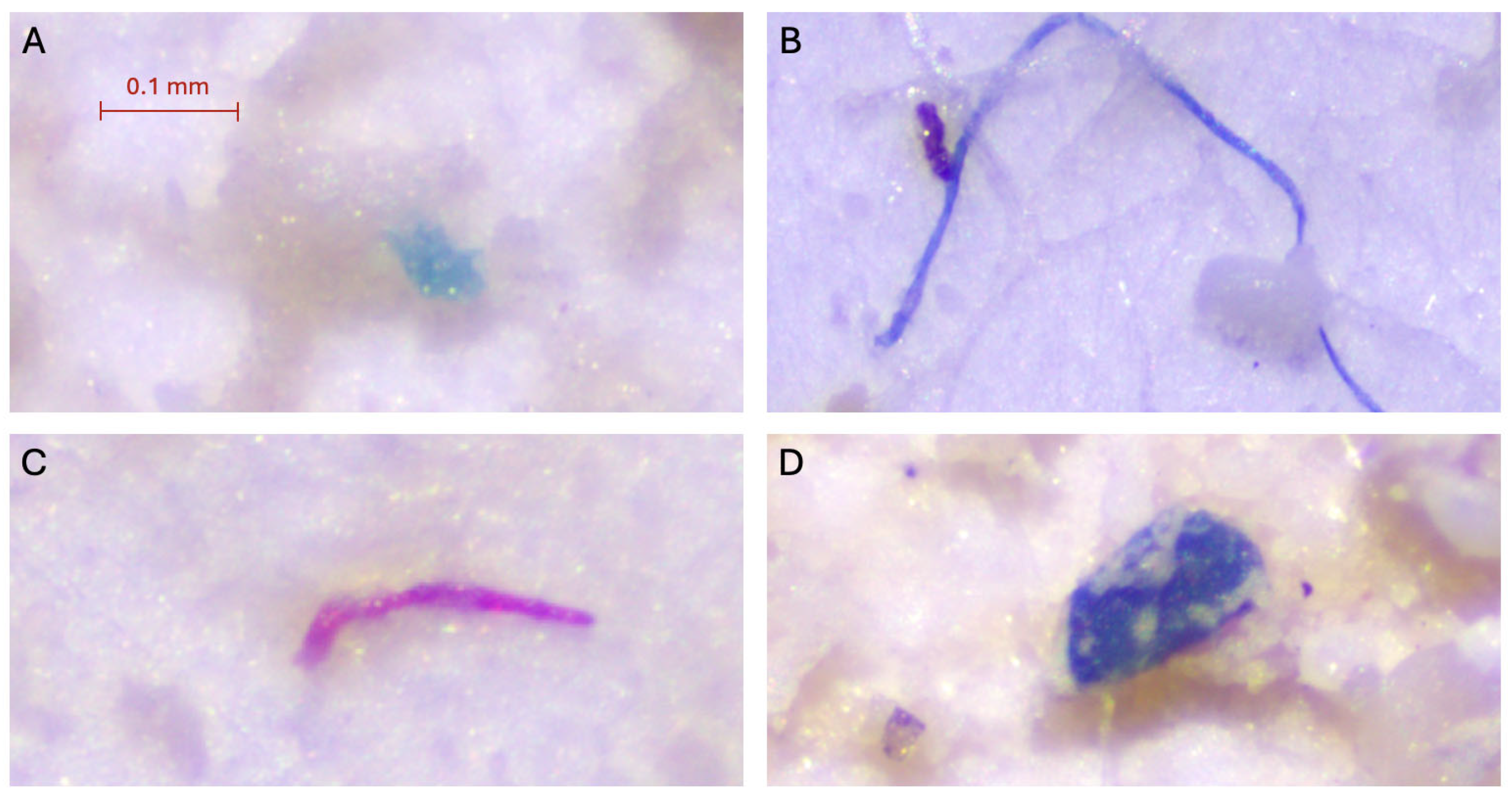 Toxics 13 00066 g006