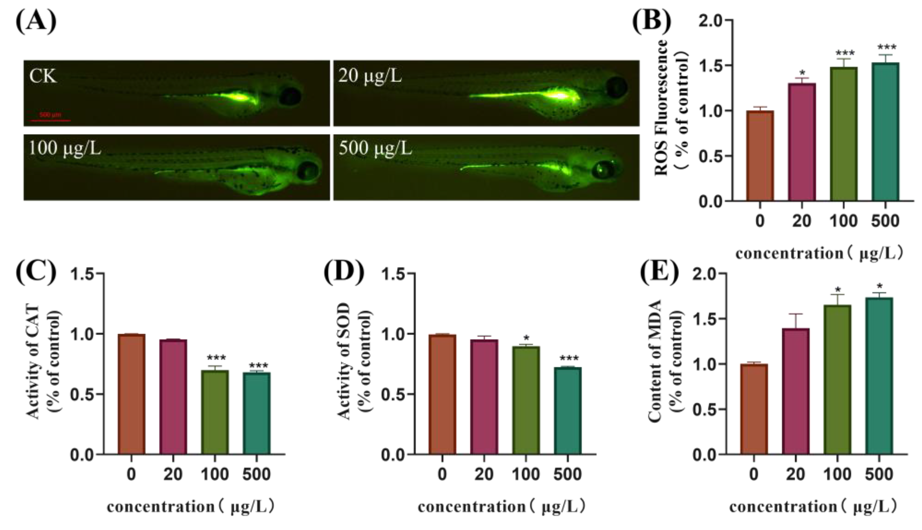 Toxics 13 00076 g003