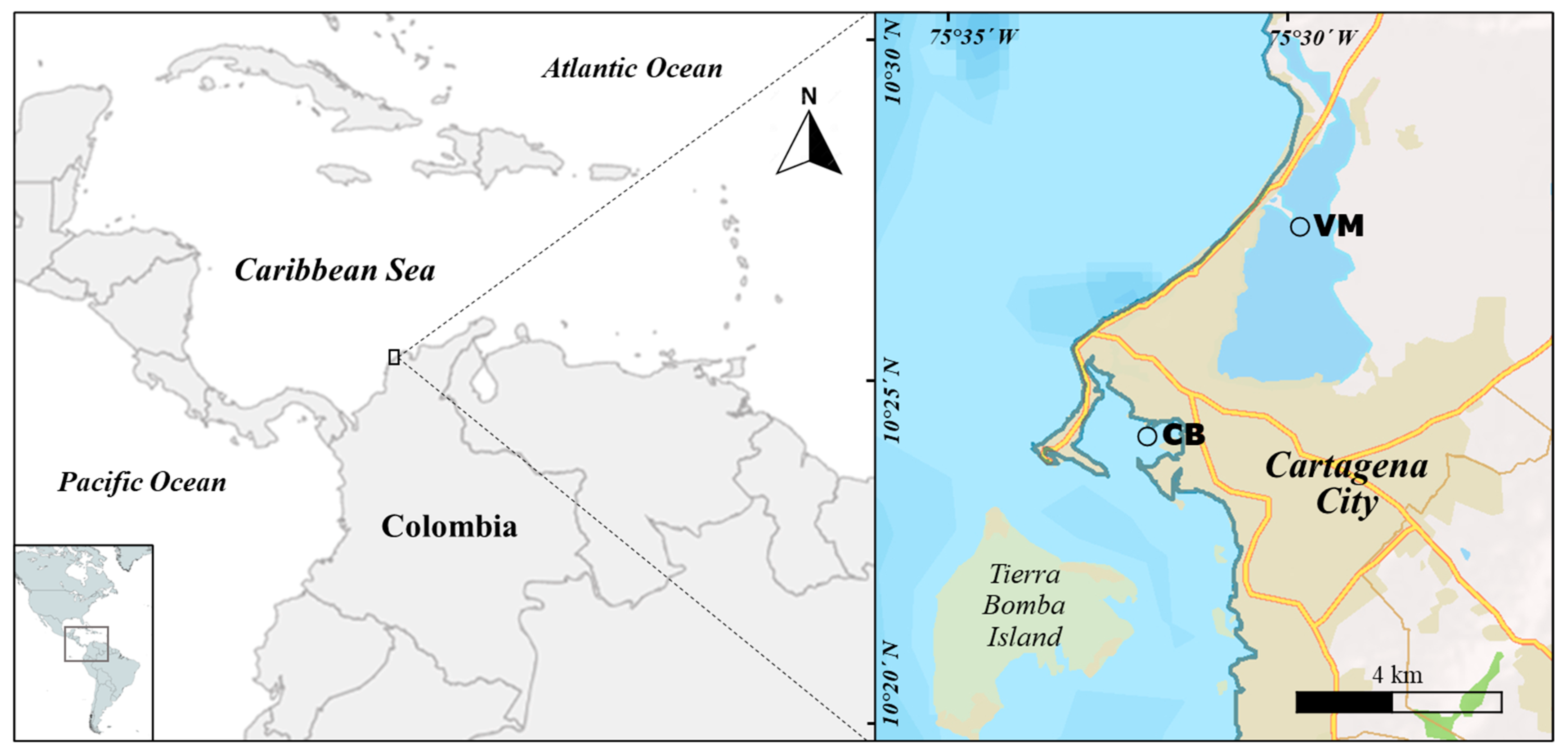 Toxics 13 00077 g001