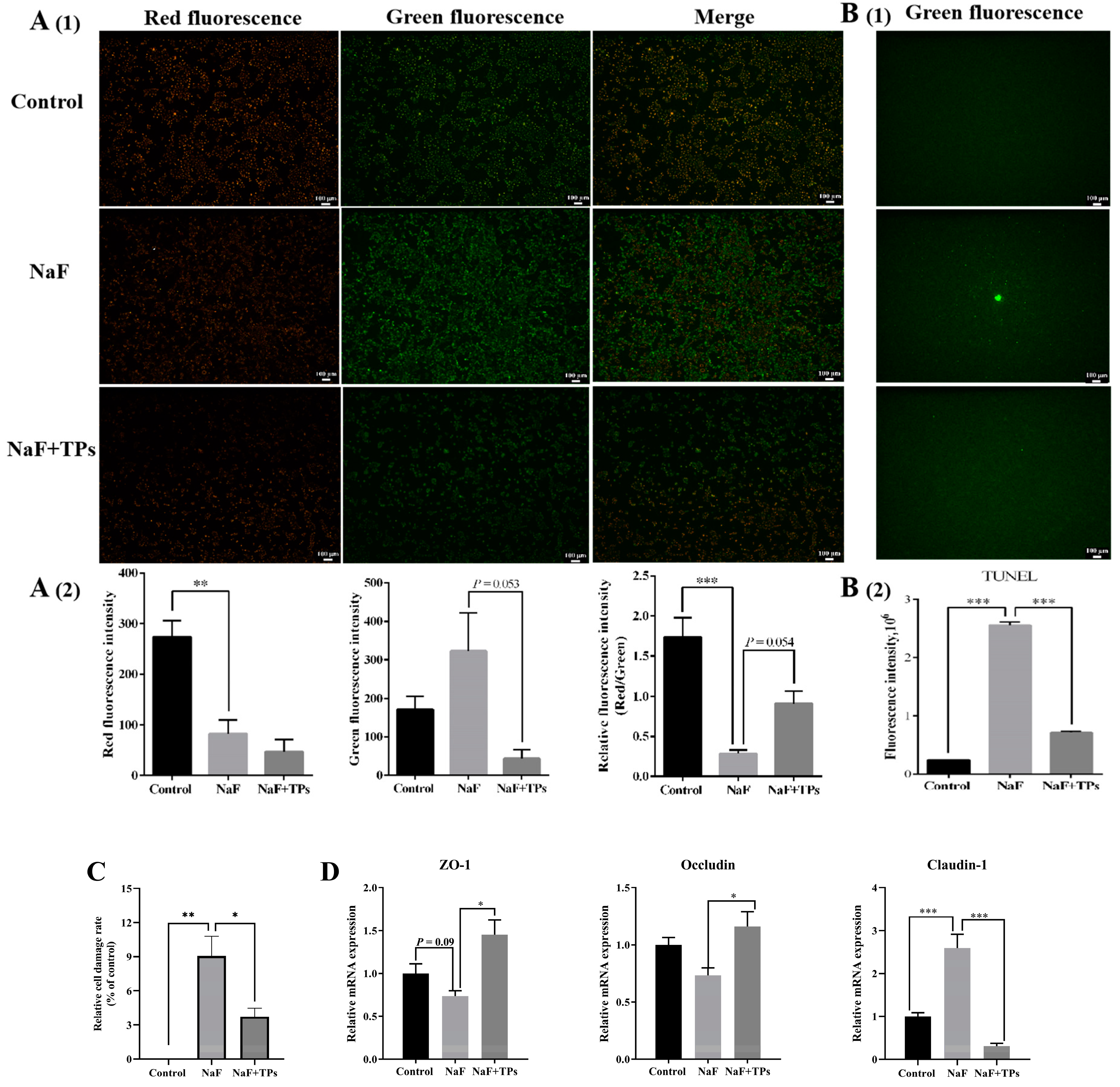 Toxics 13 00083 g004