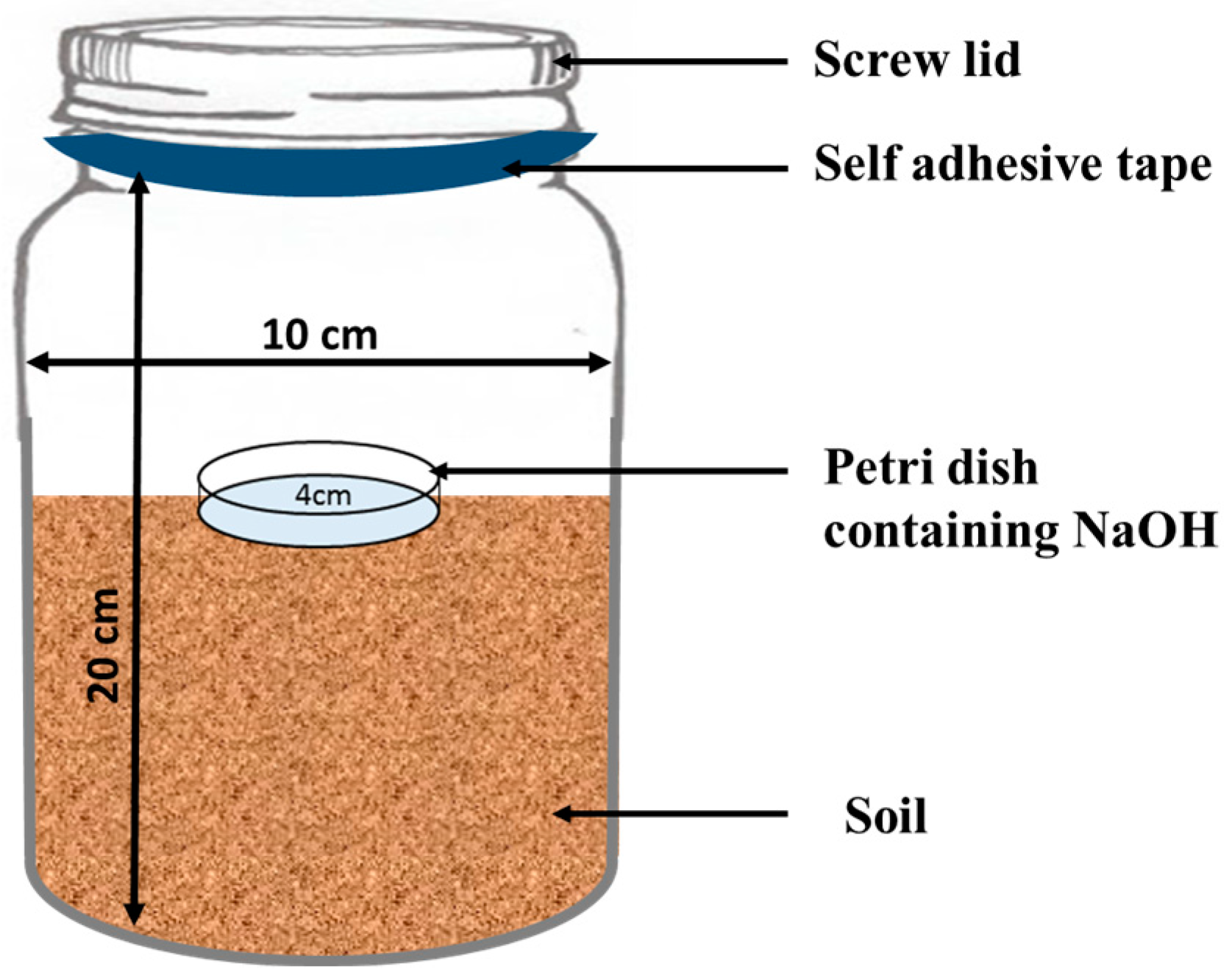 Toxics 13 00084 g001
