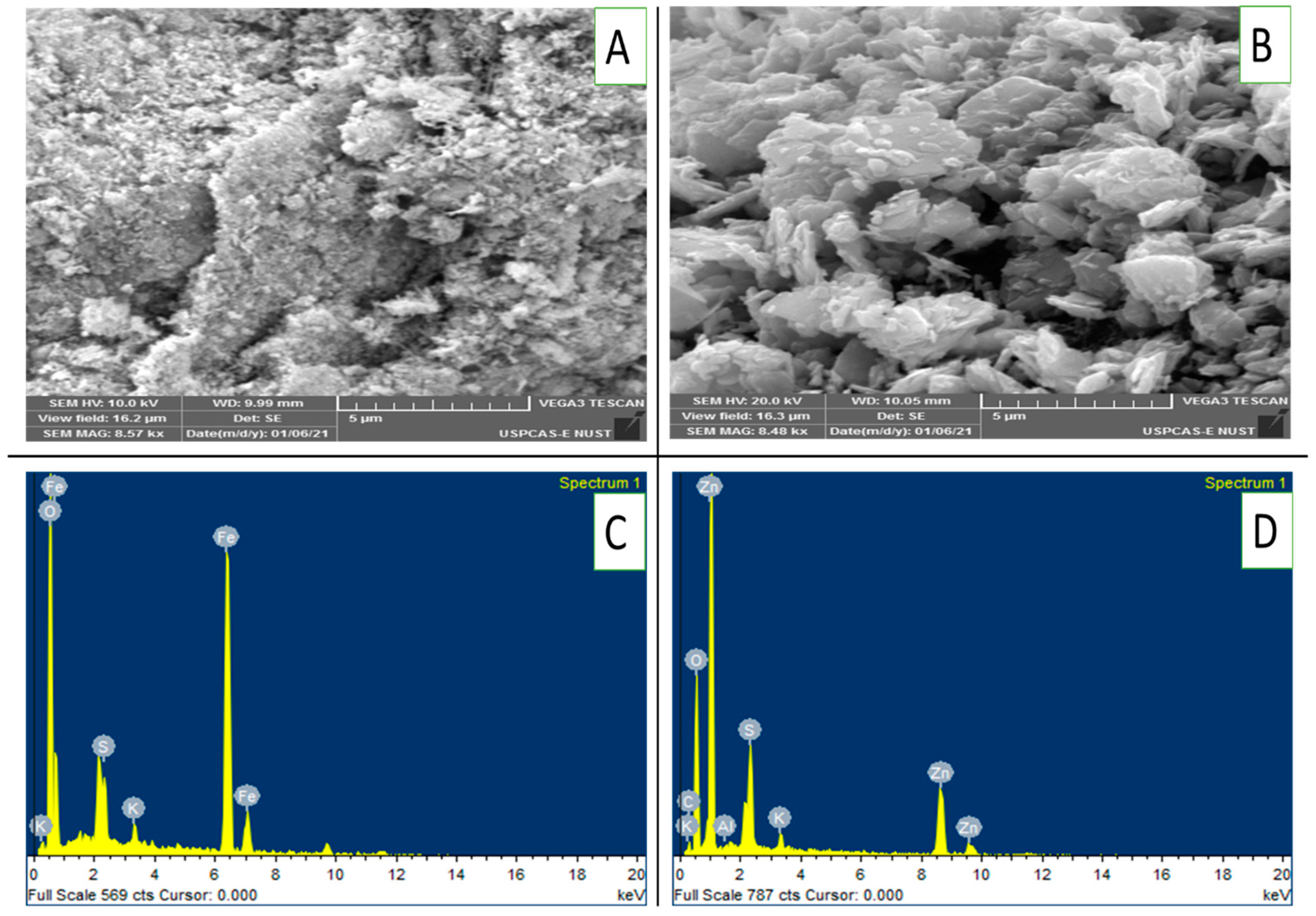 Toxics 13 00084 g002