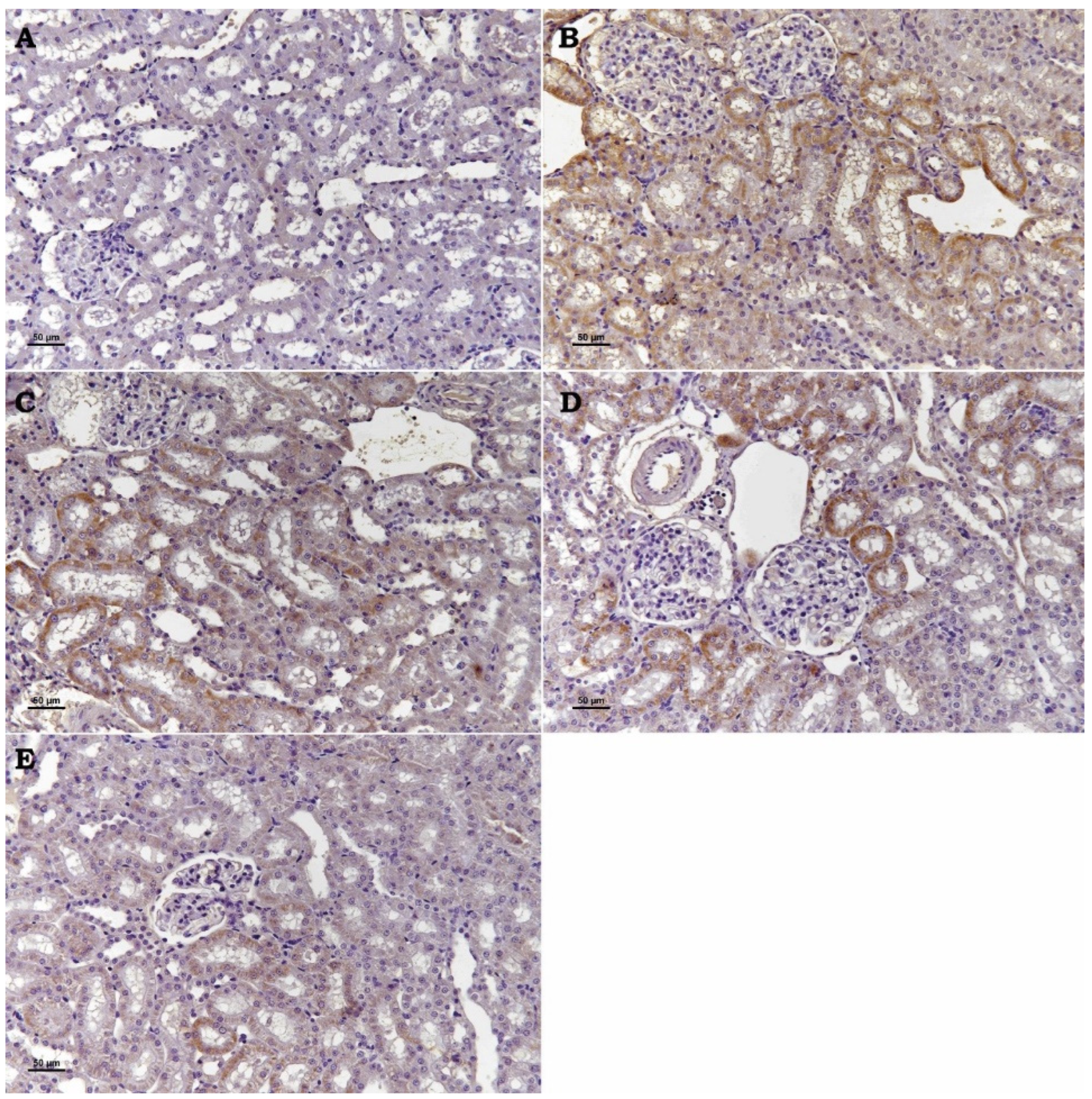 Toxics 13 00087 g002