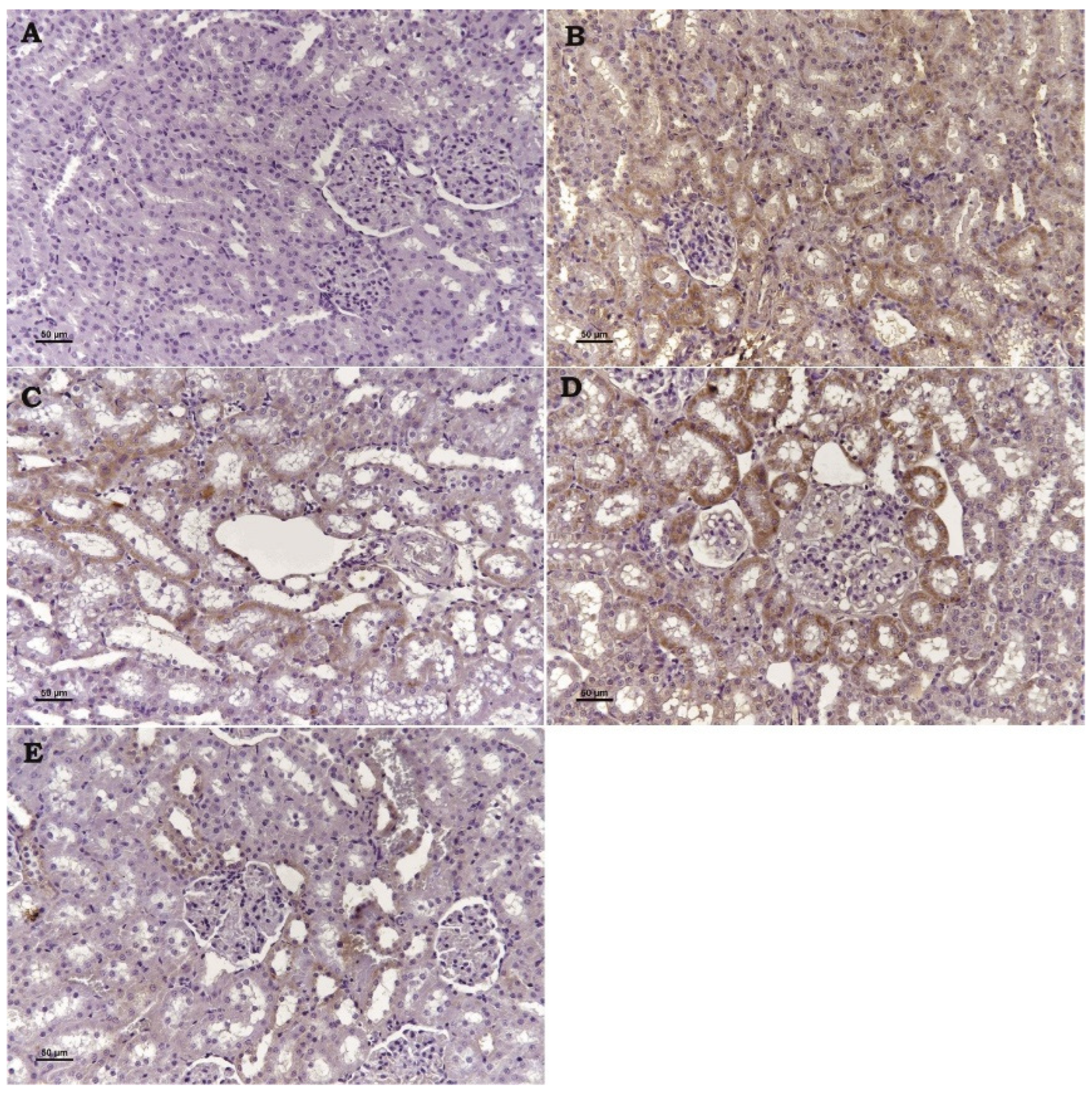 Toxics 13 00087 g003