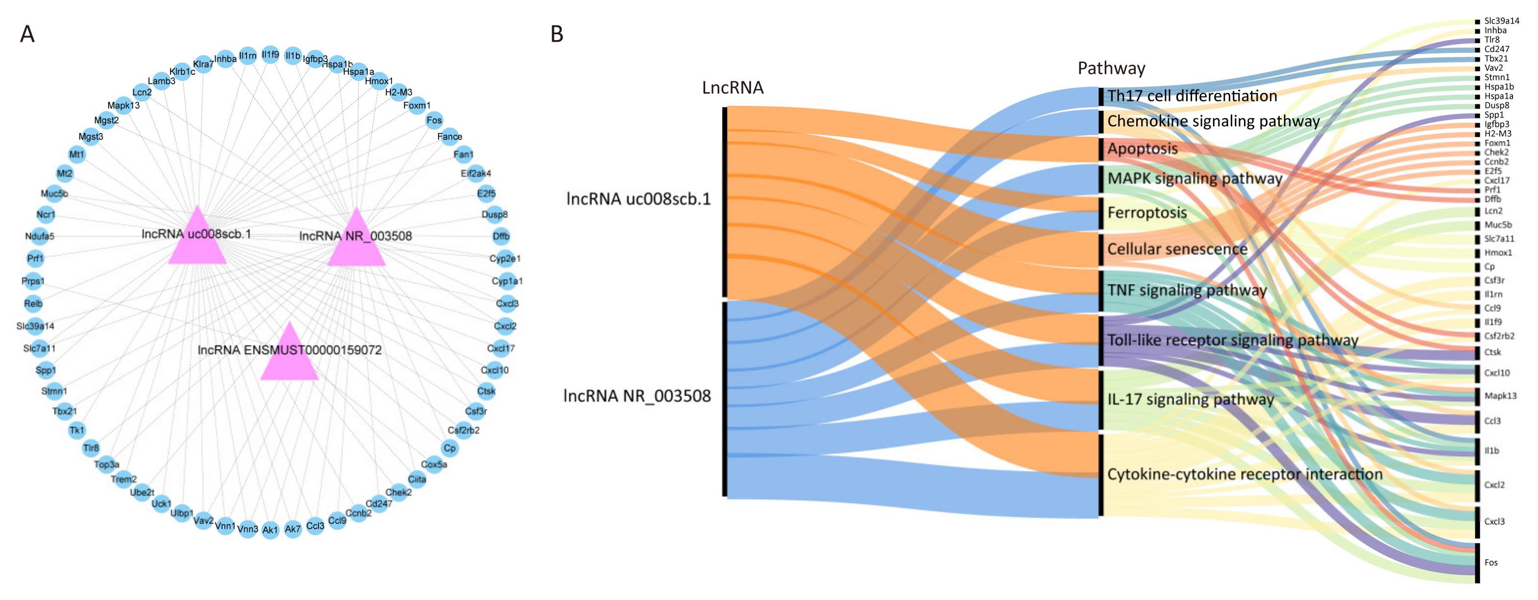 Toxics 13 00098 g005