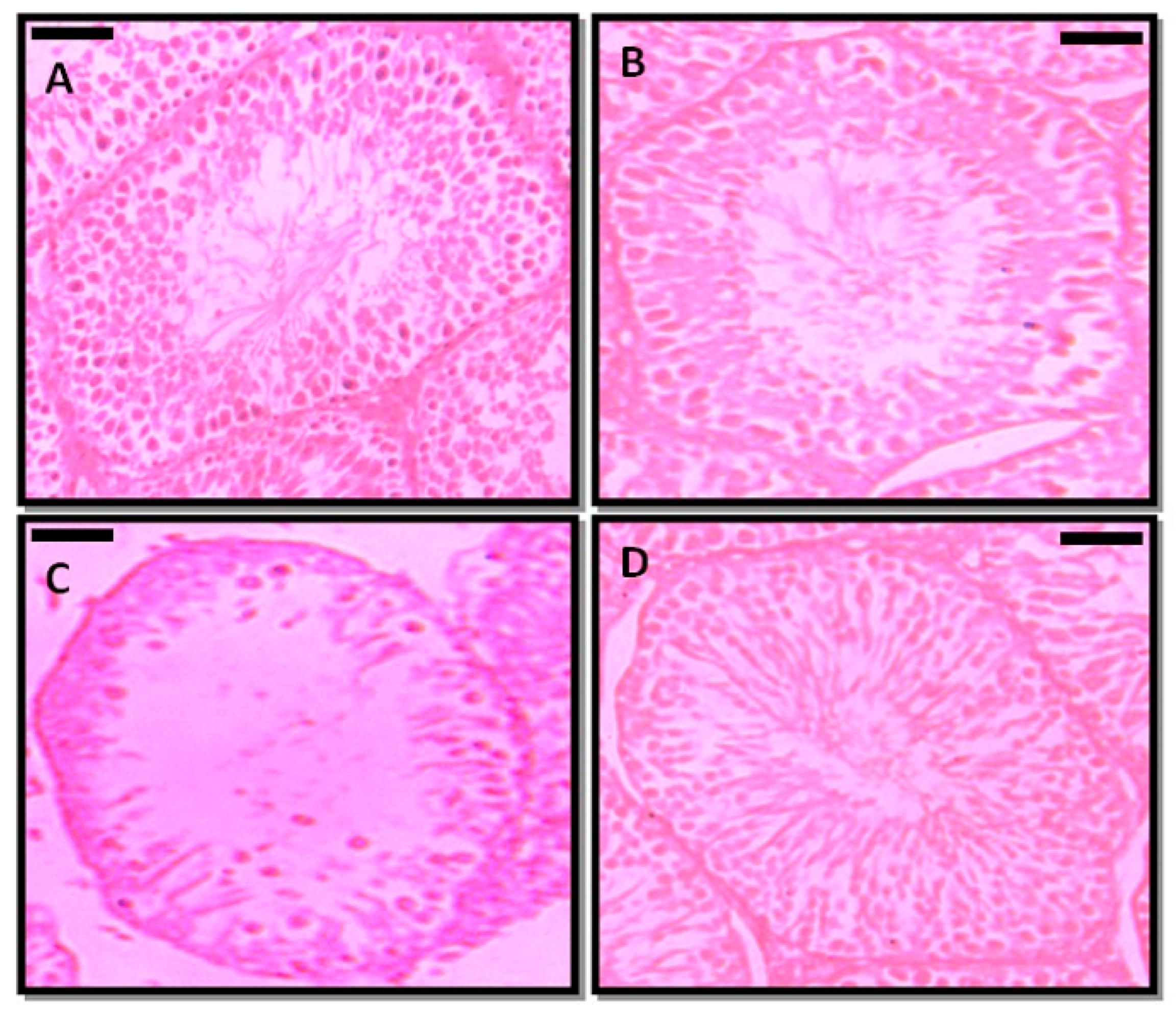 Toxics 13 00111 g003
