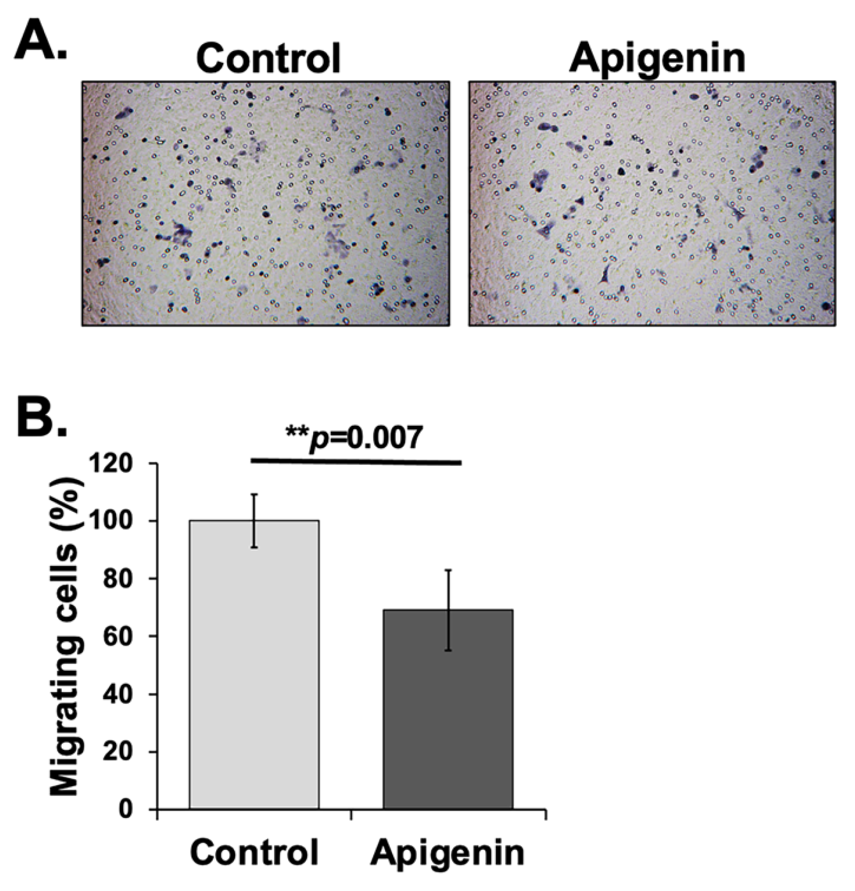 Toxics 13 00112 g004