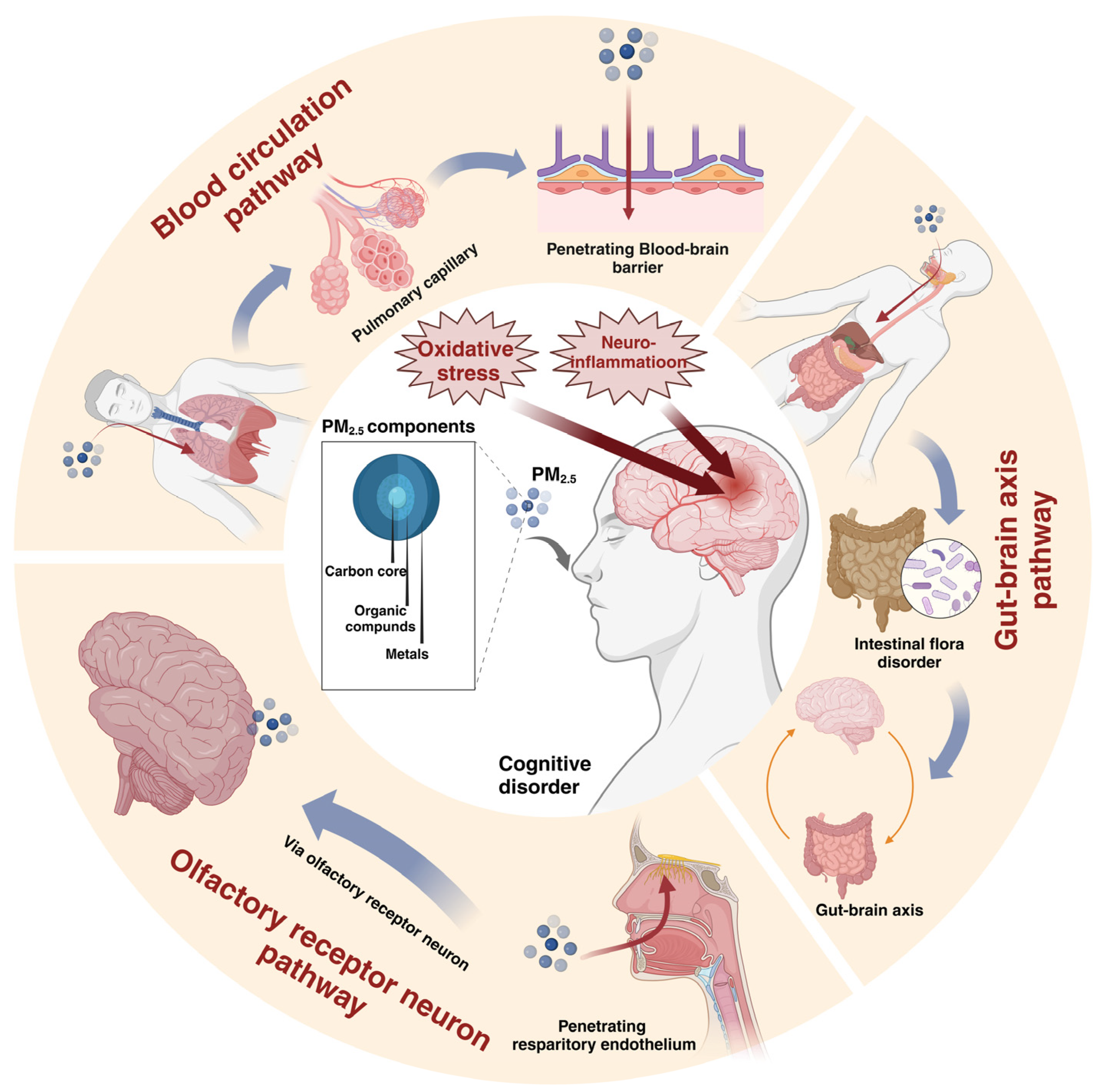 Toxics 13 00119 g001