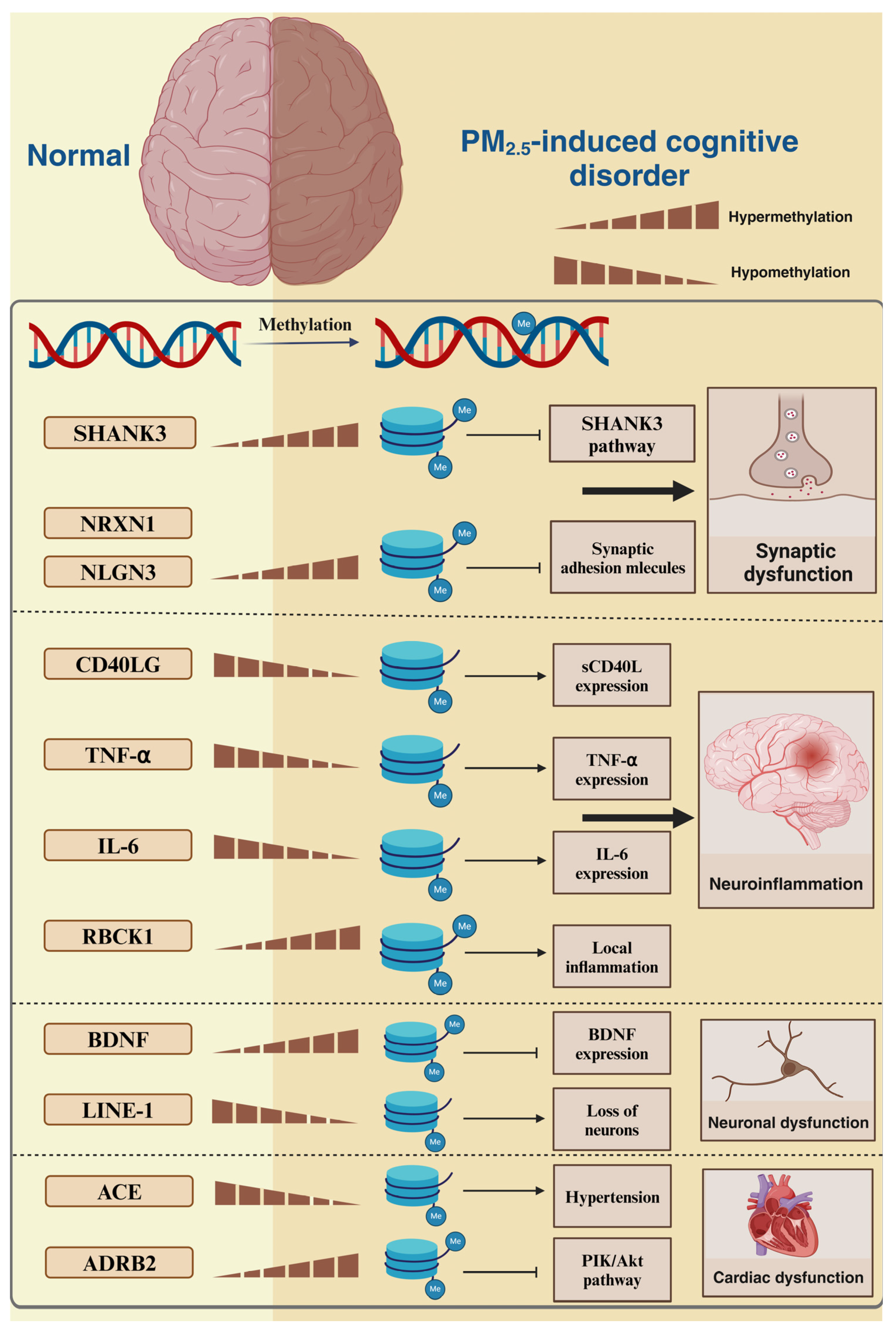 Toxics 13 00119 g003