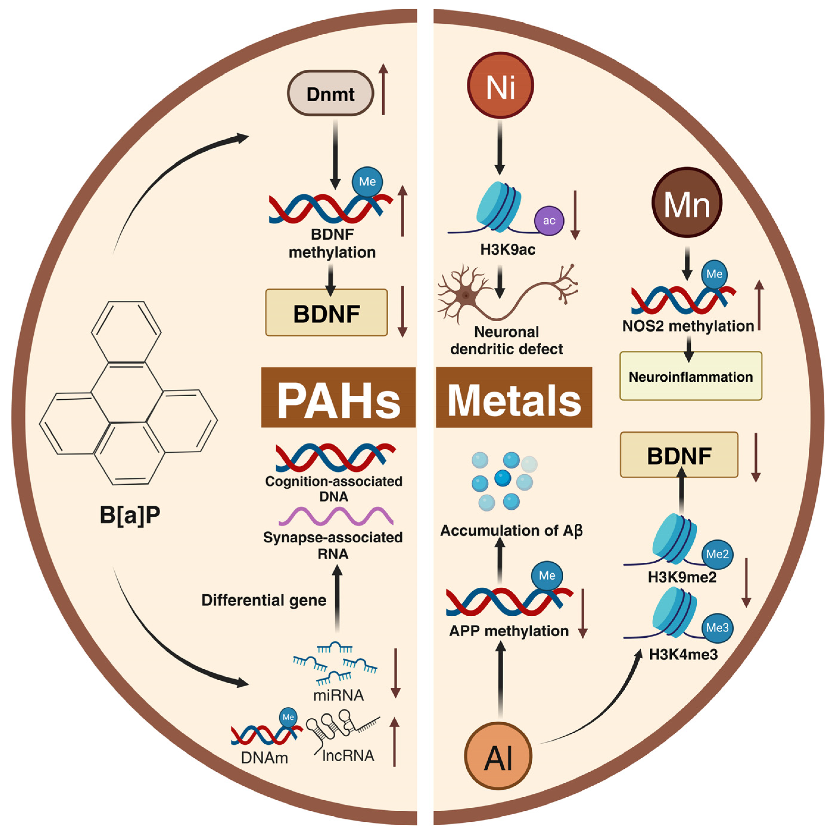 Toxics 13 00119 g005