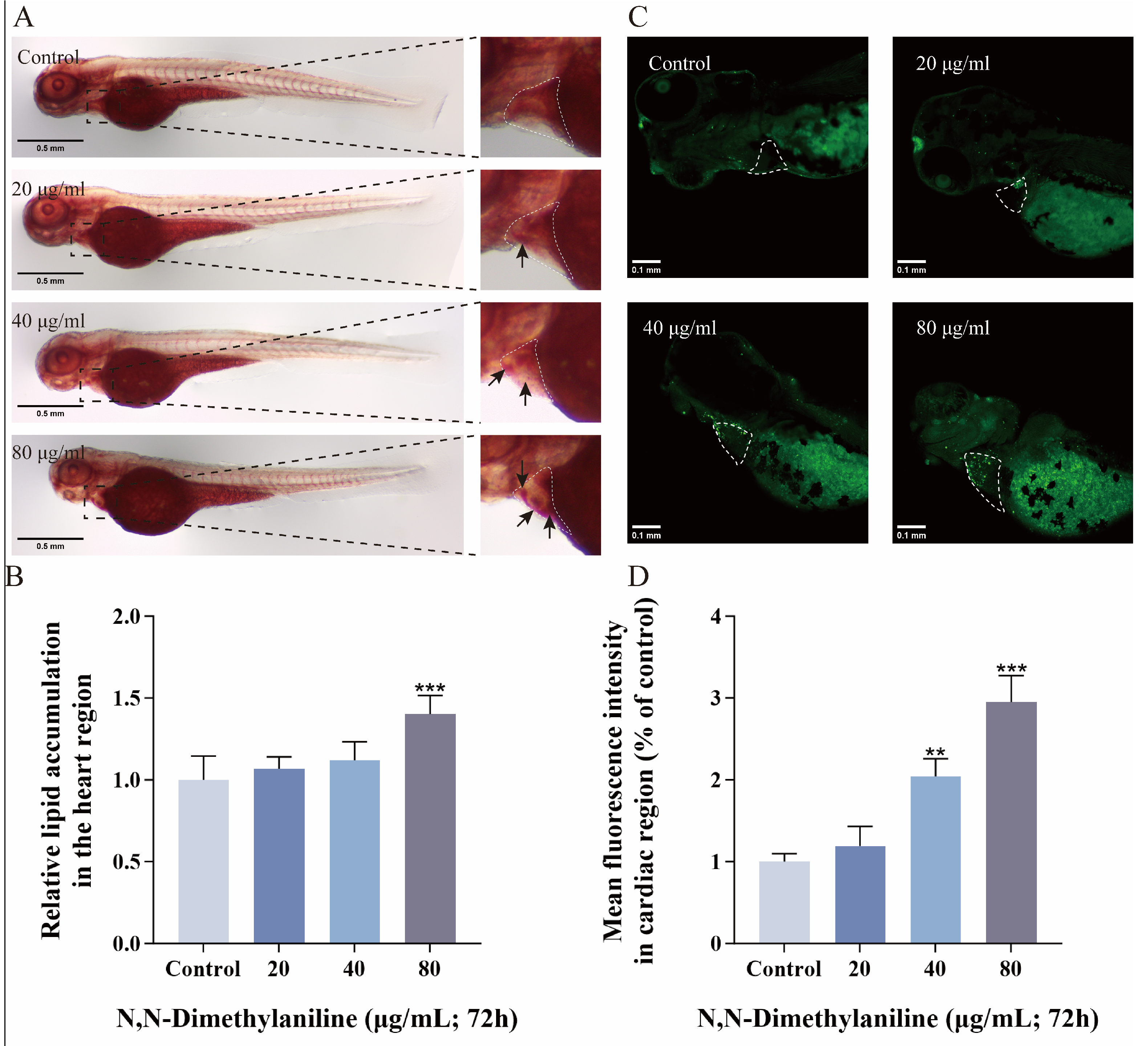Toxics 13 00125 g003