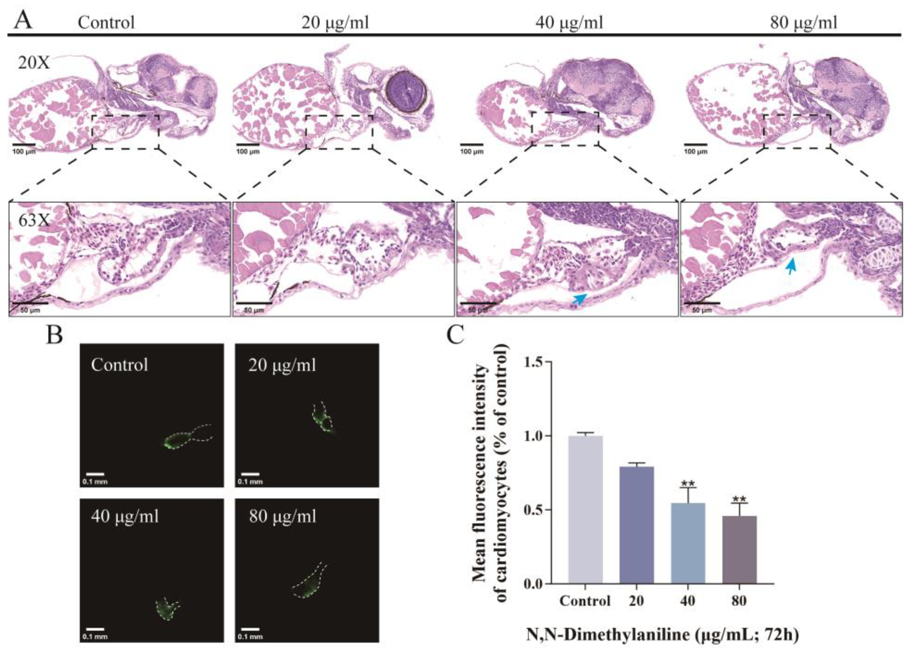 Toxics 13 00125 g005