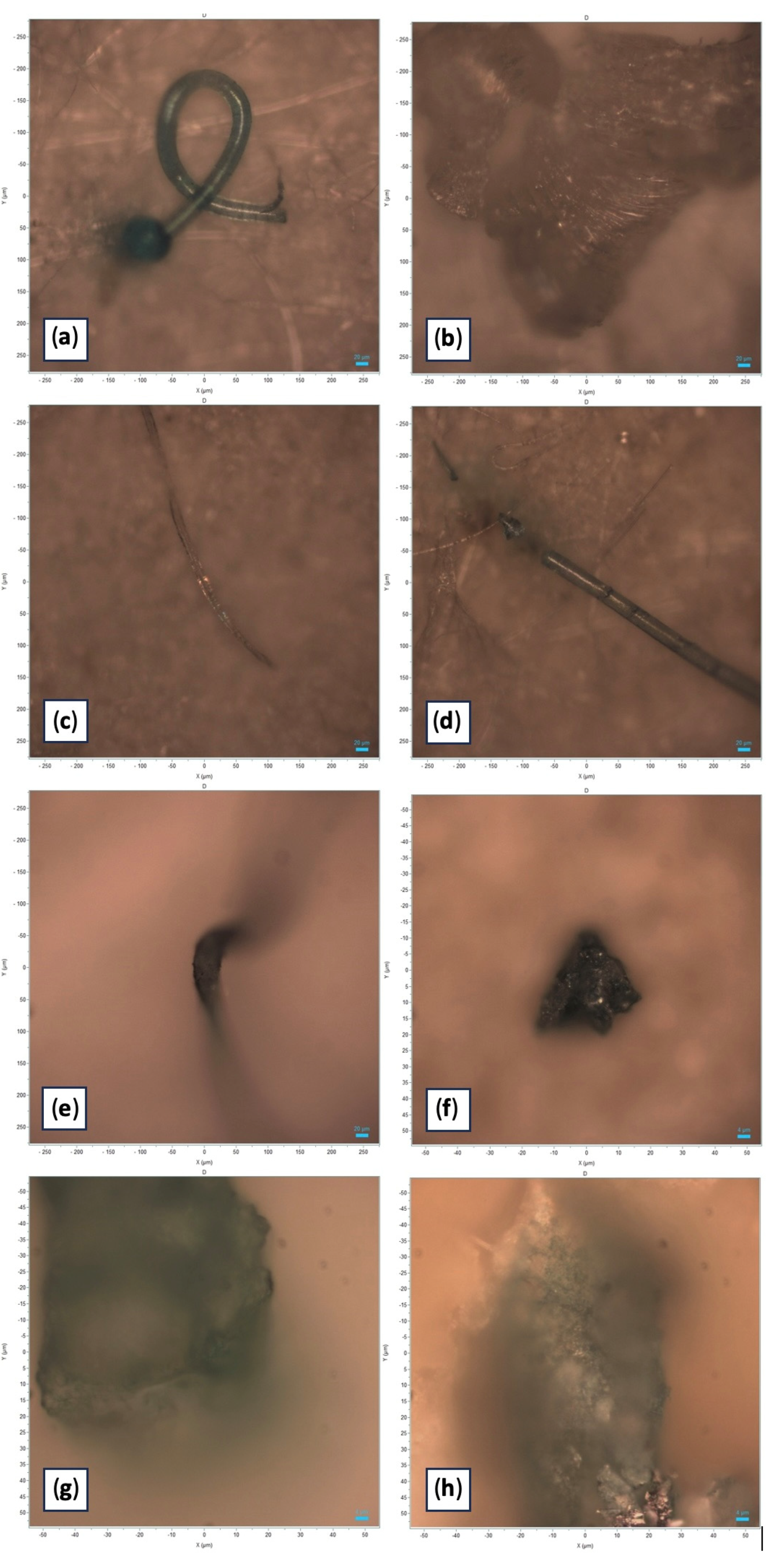 Toxics 13 00144 g002