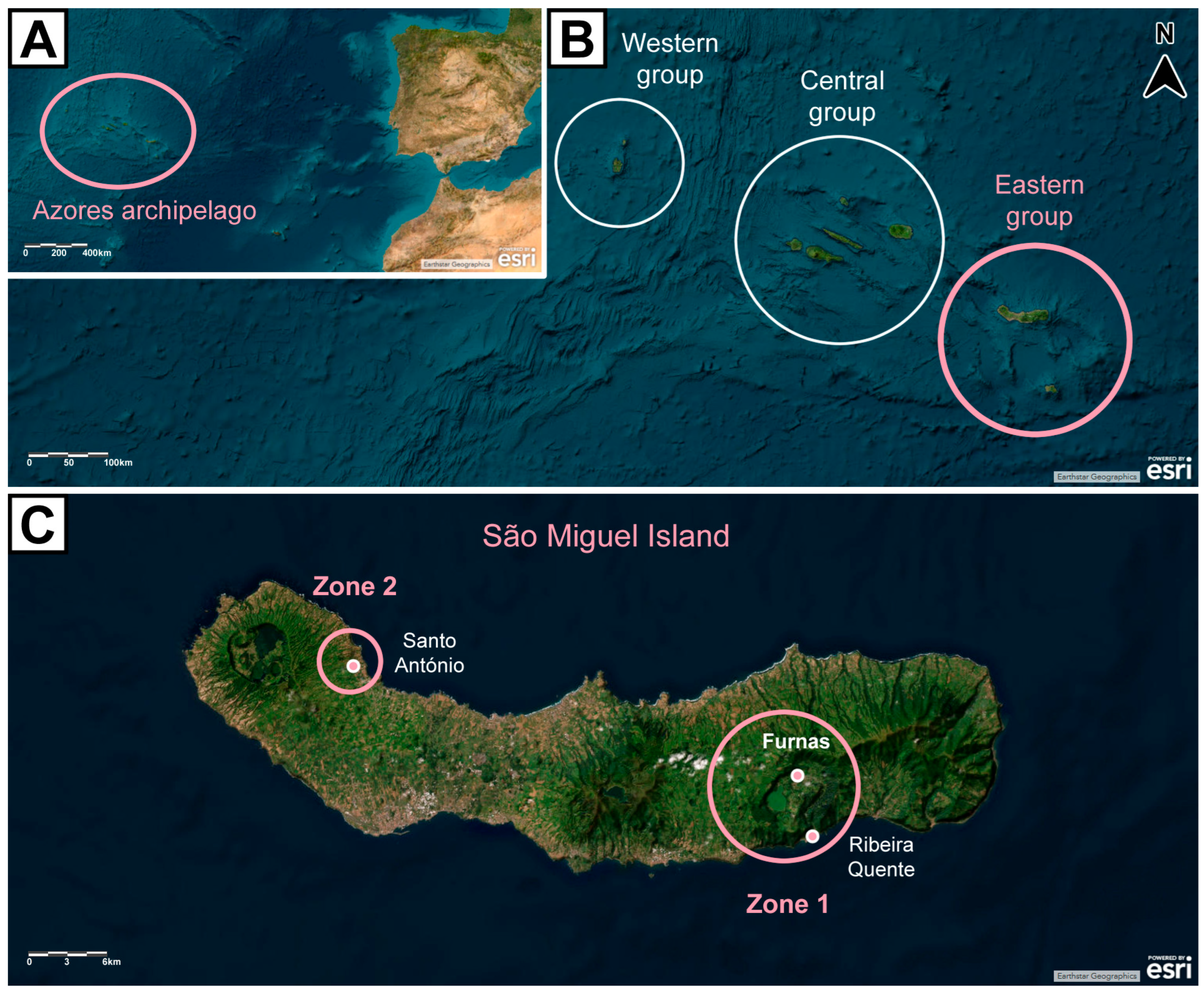 Toxics 13 00146 g001