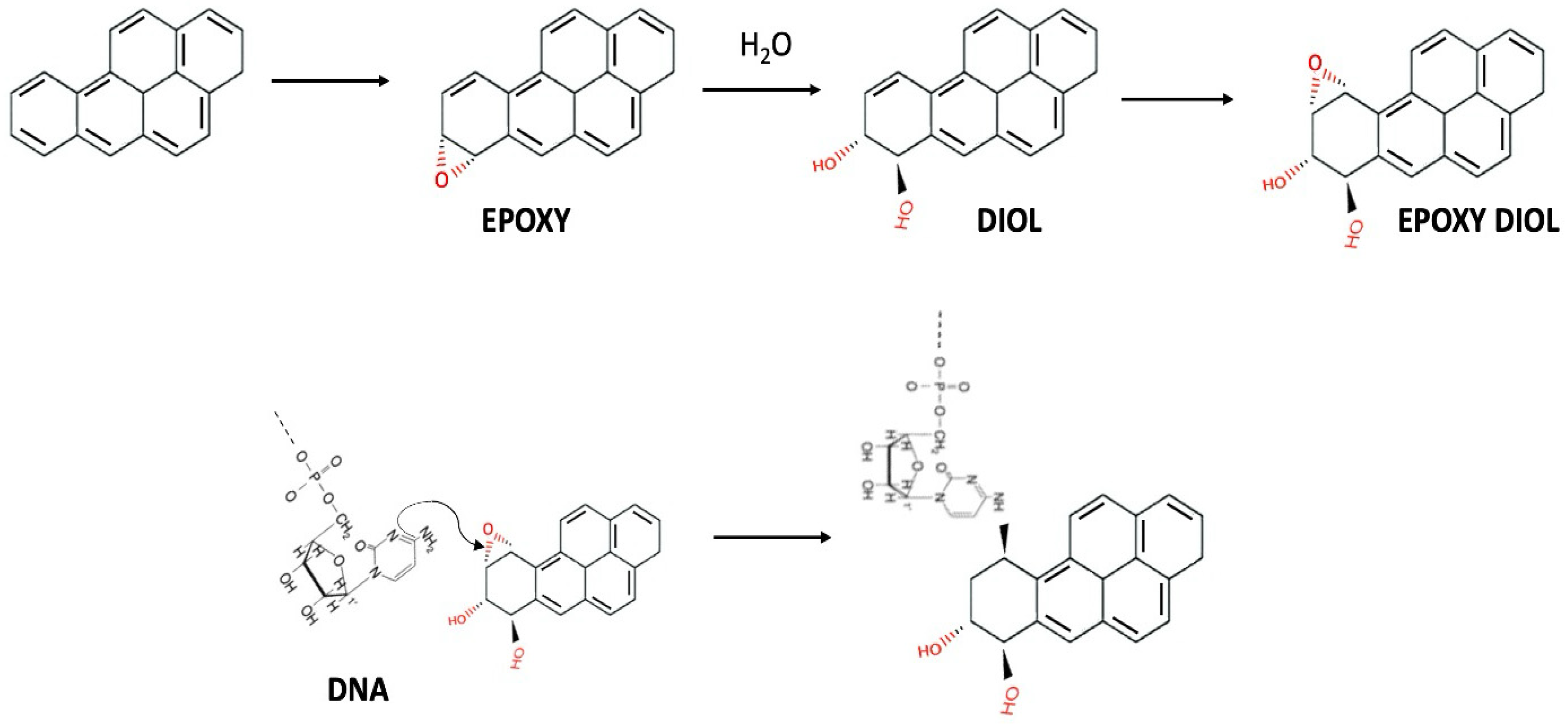 Toxics 13 00151 g005 Toxics 13 00151 g005