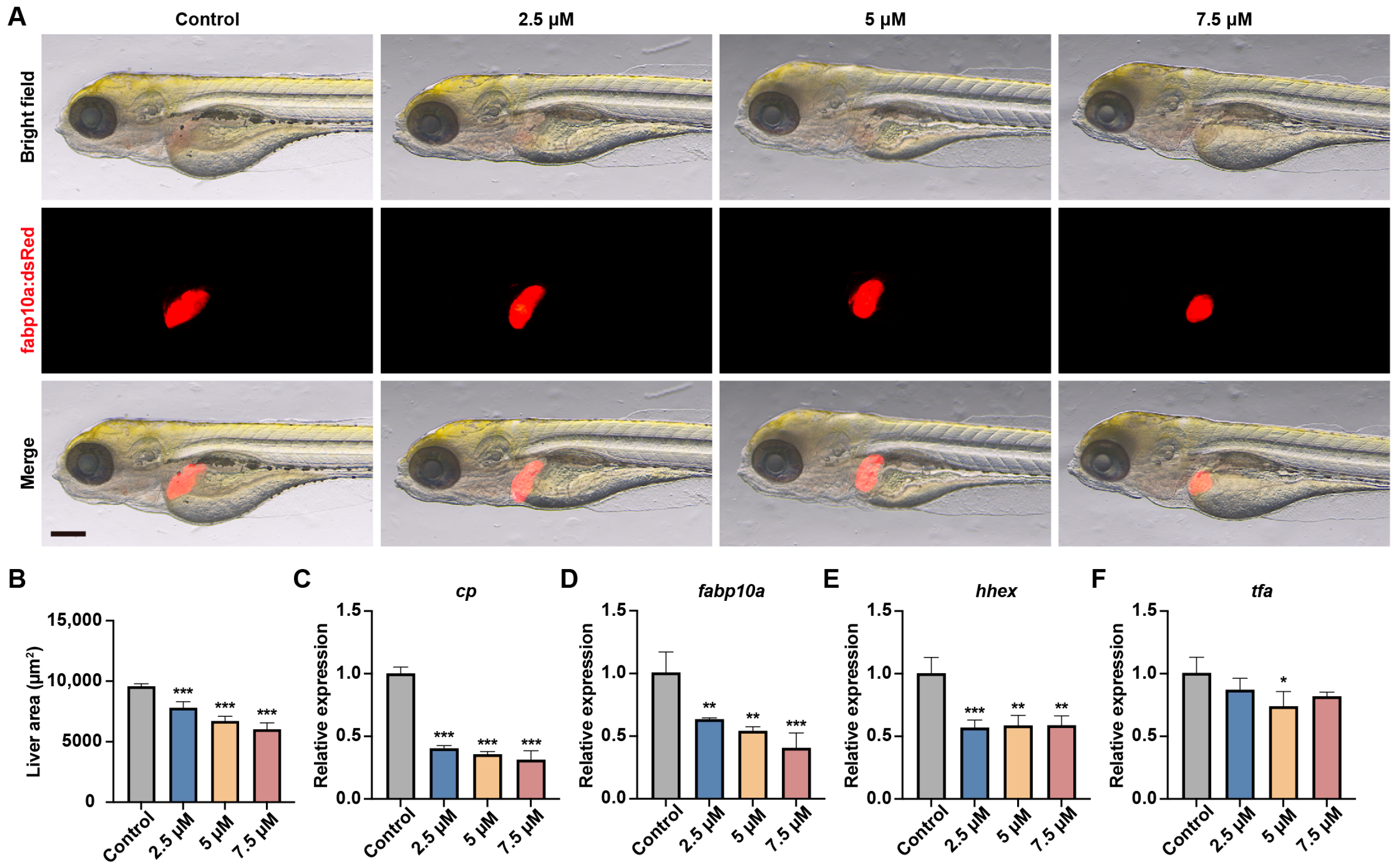 Toxics 13 00155 g002