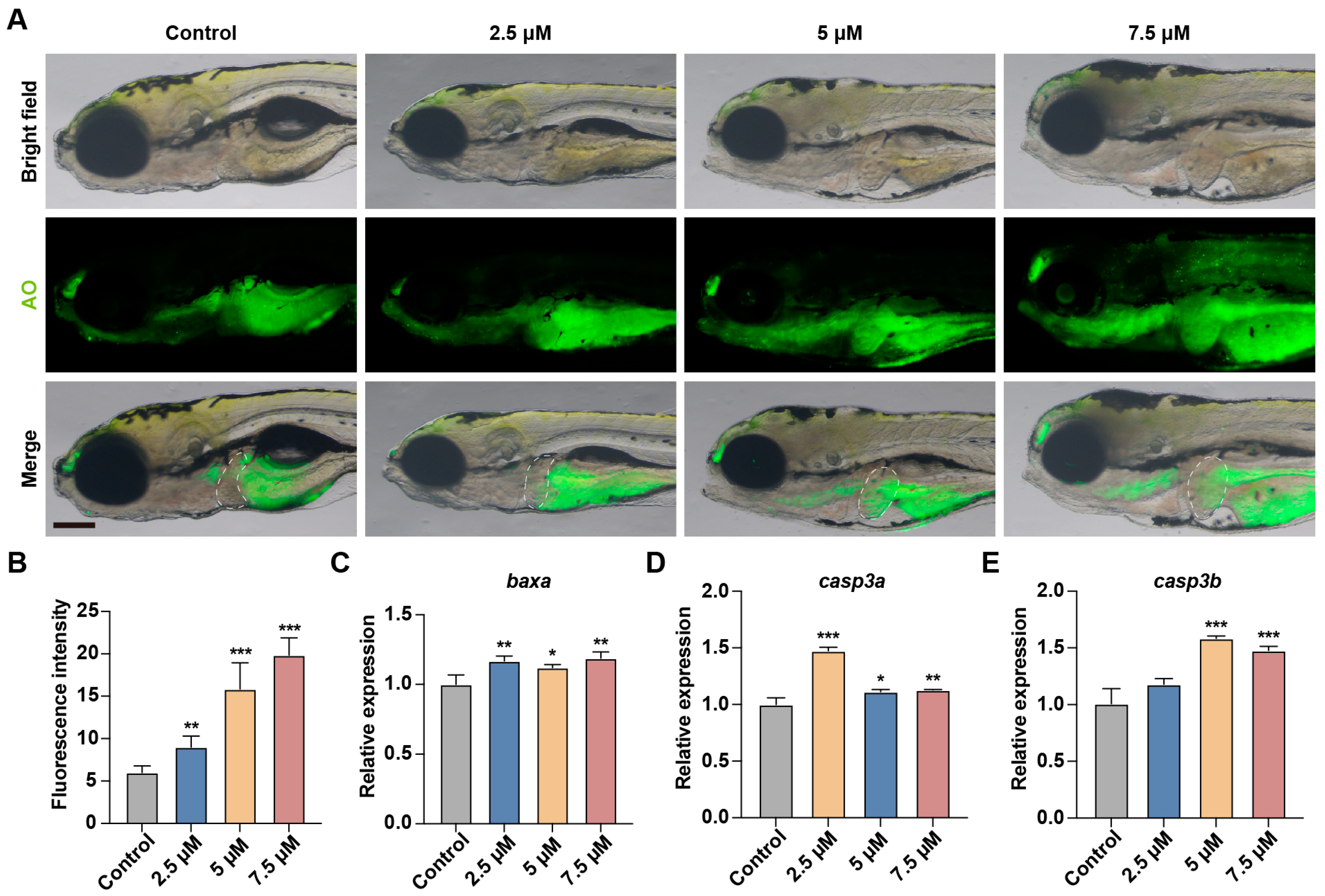 Toxics 13 00155 g007
