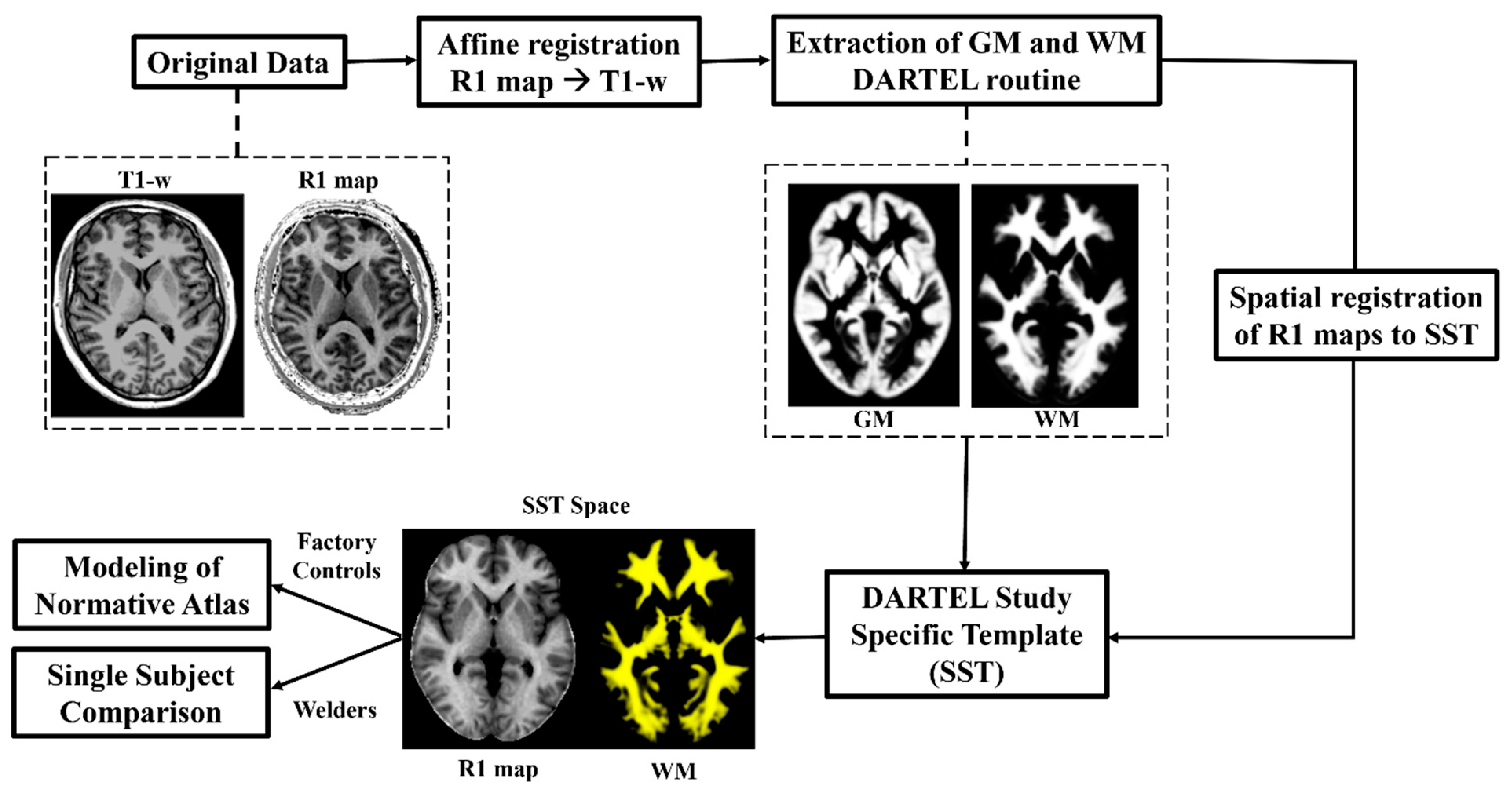 Toxics 13 00157 g001