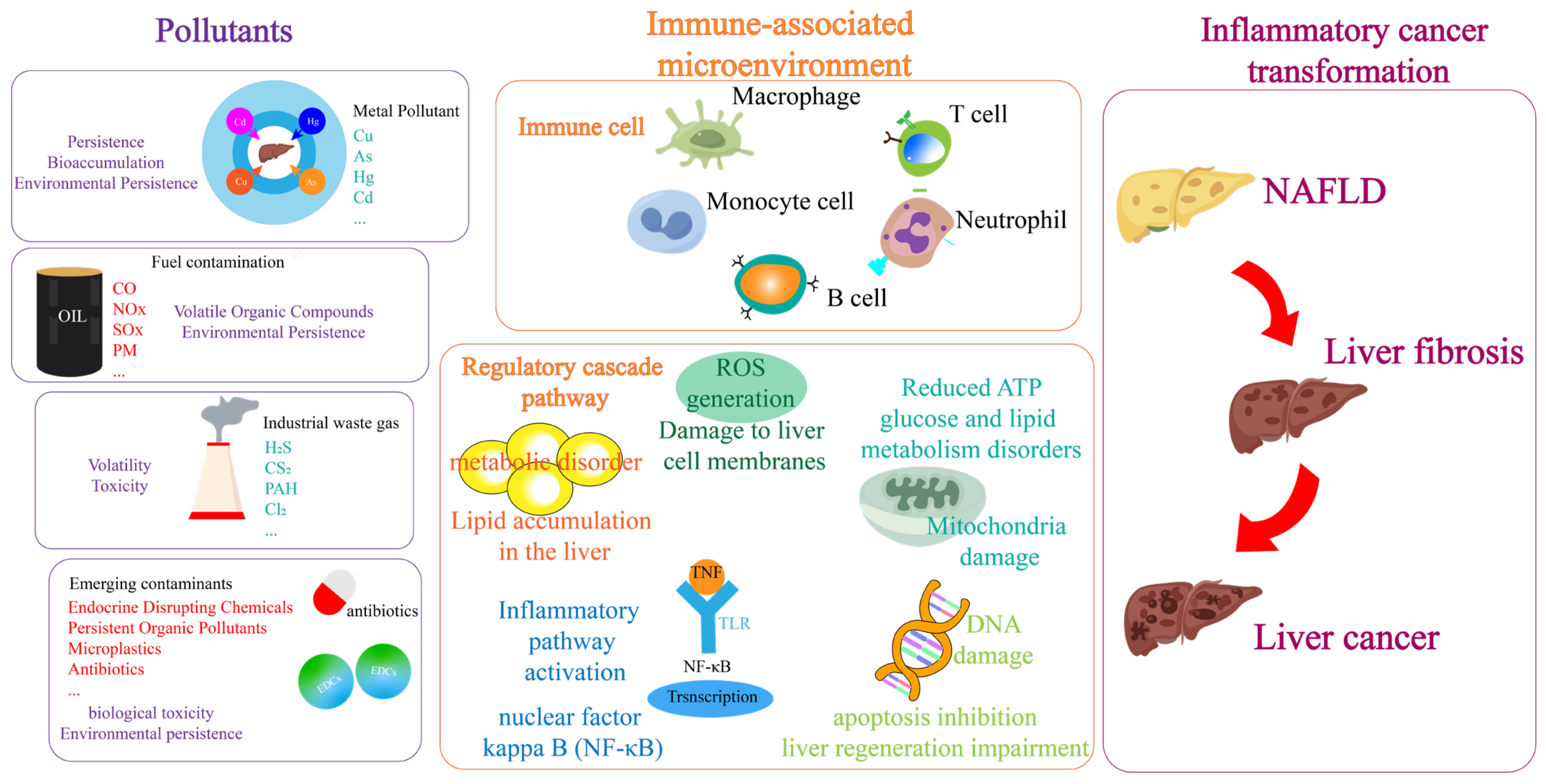 Toxics 13 00163 g001